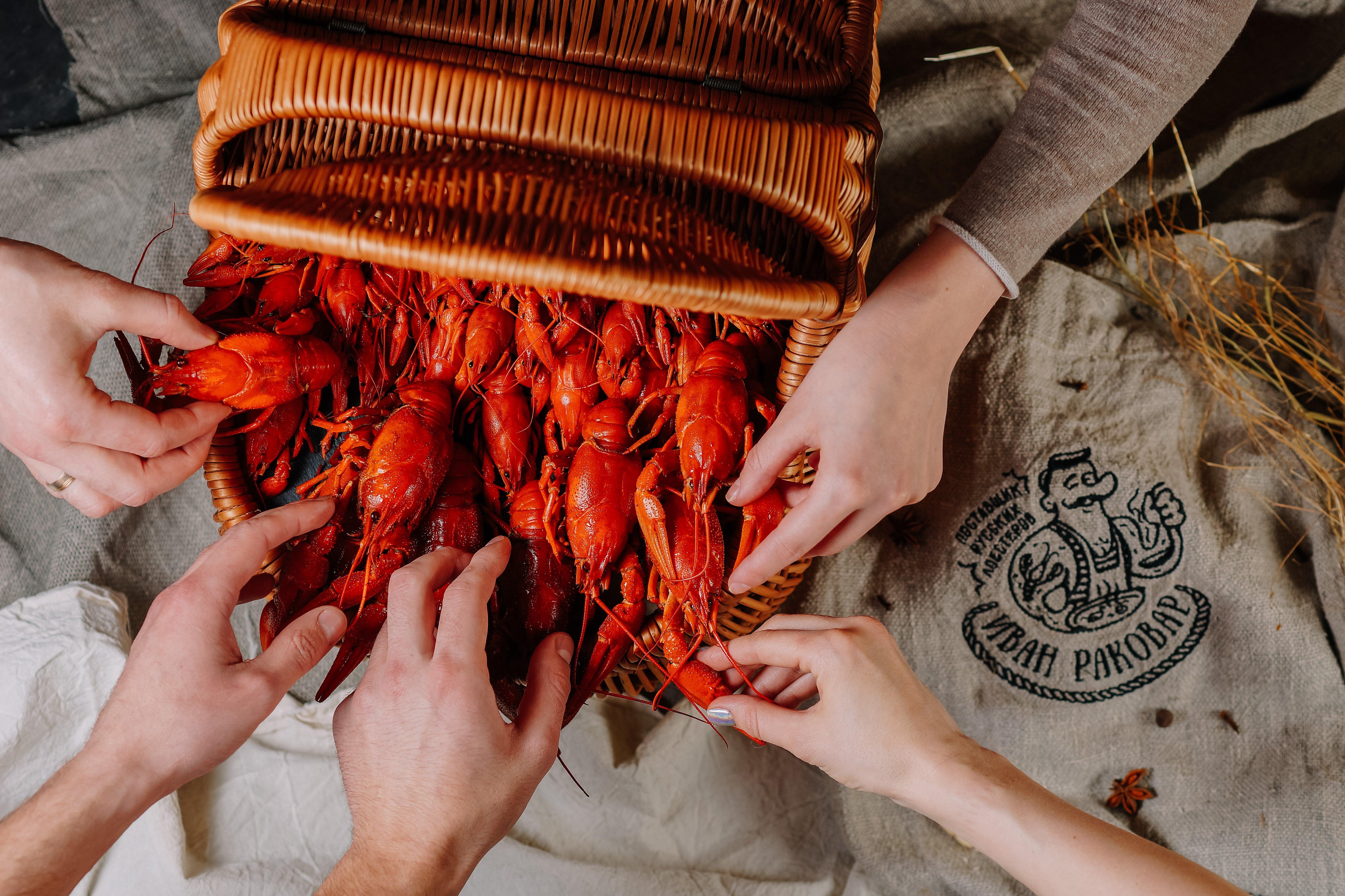 Rakovarnya Ivana Rakovara