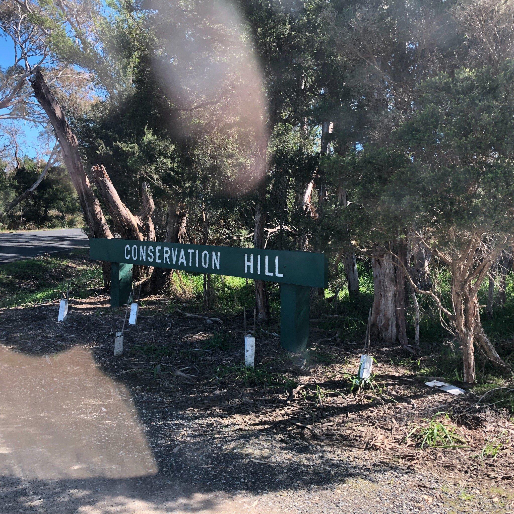 Conservation Hill Reserve