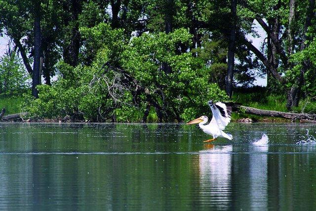 Park Lake Provincial Park
