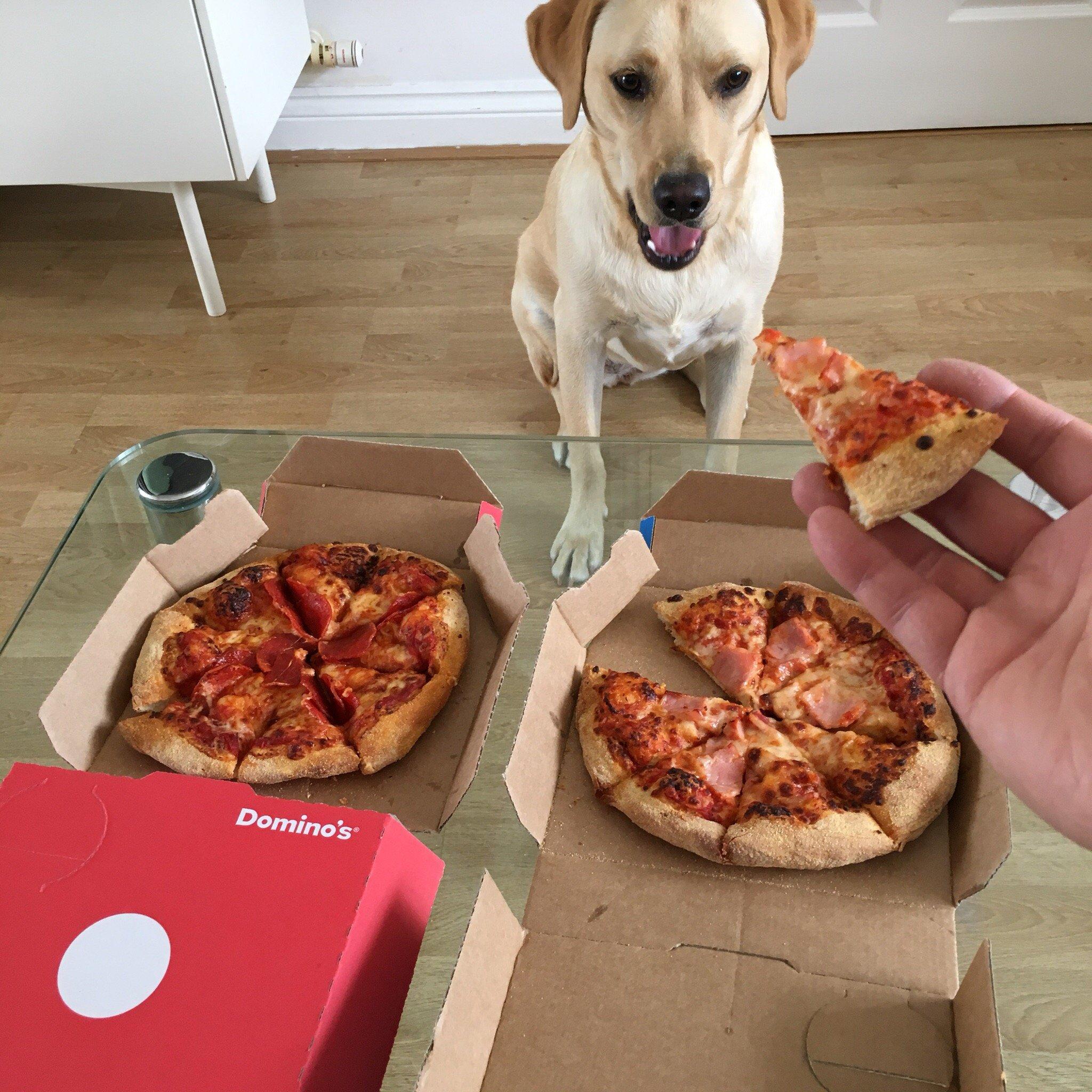 Photo by hecksfinches