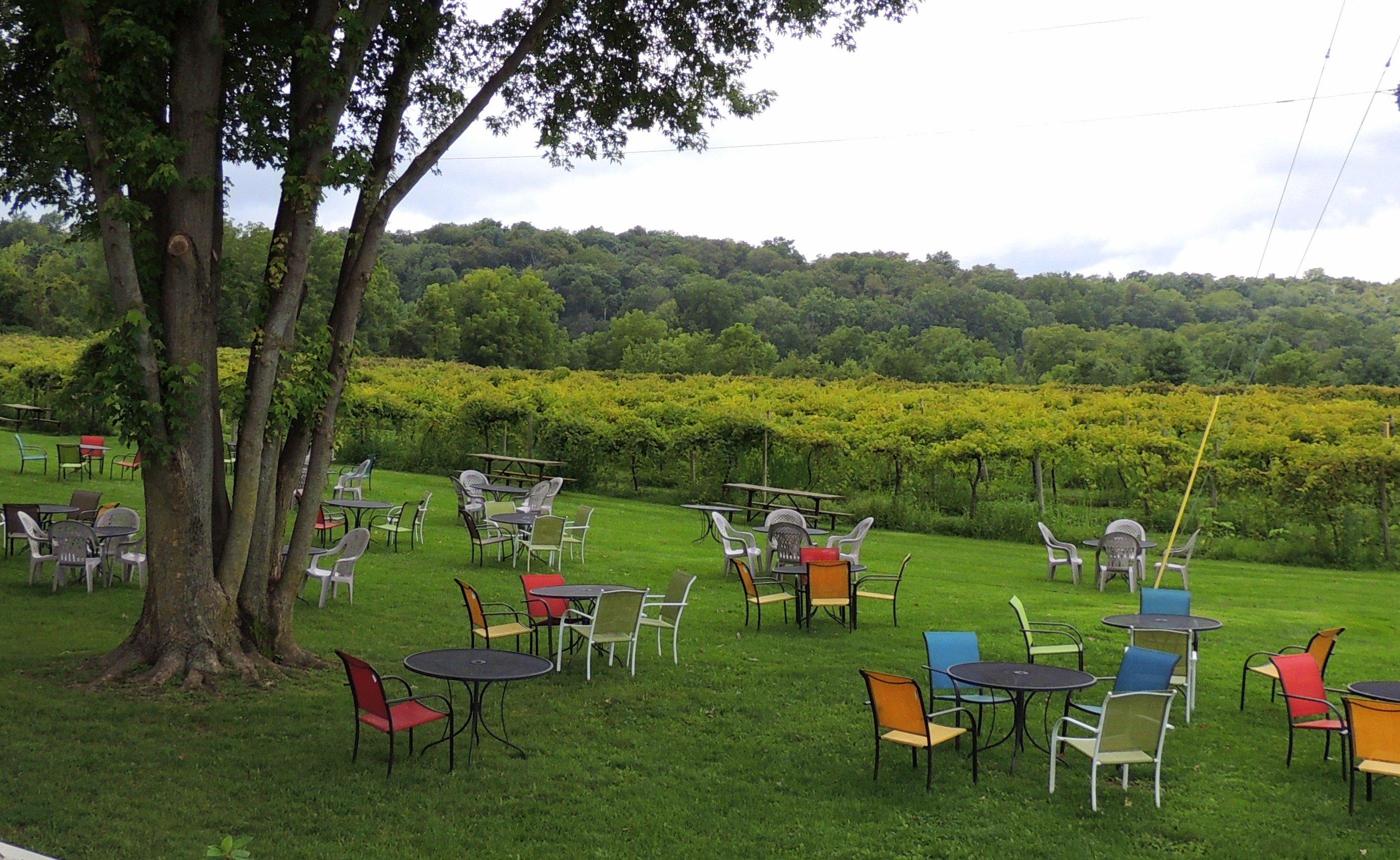 Galena Cellars Vineyard