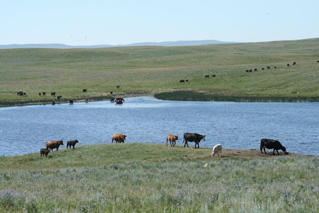 Twin River Heritage Rangeland Natural Area