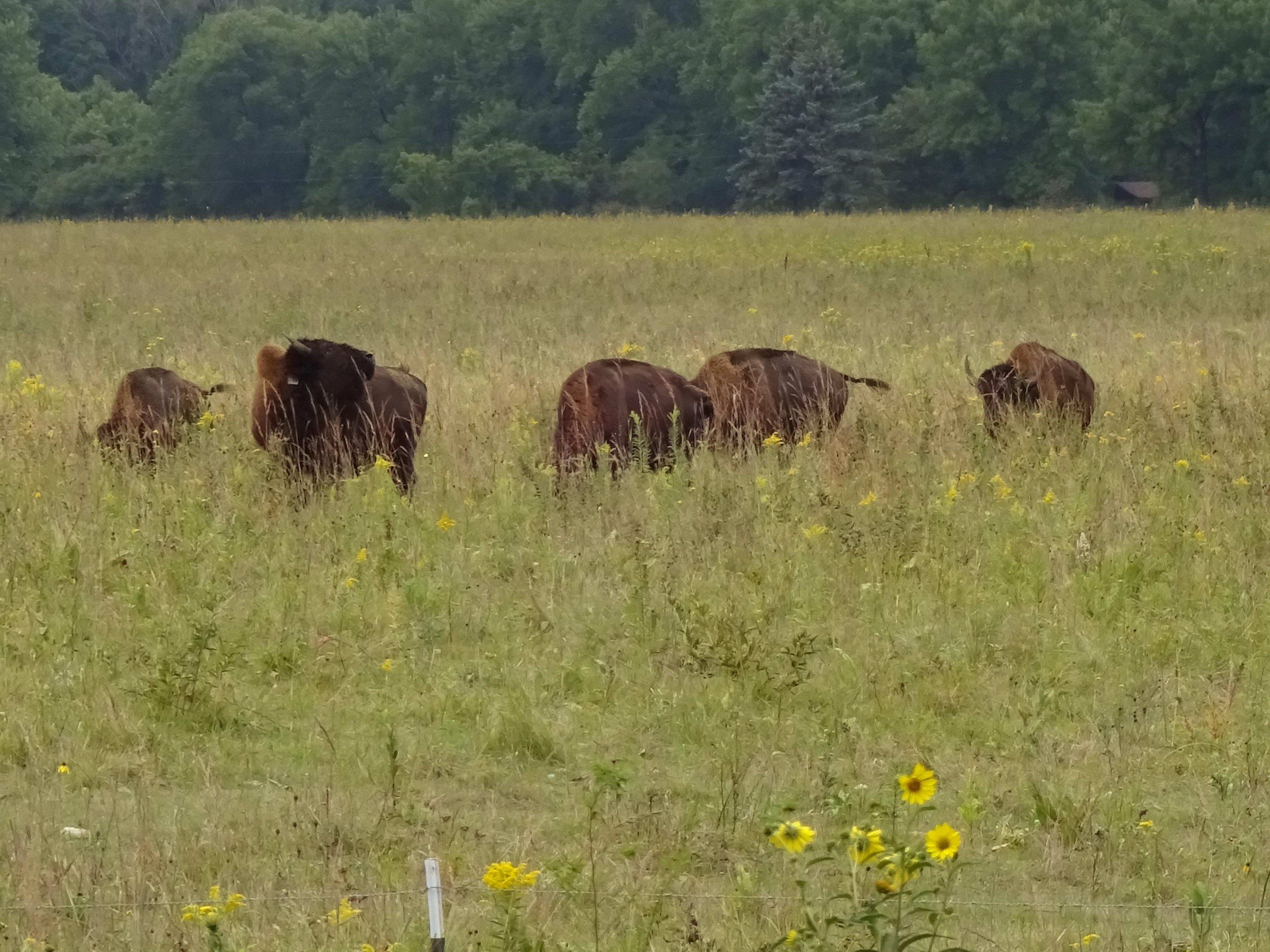 The Belwin Conservancy