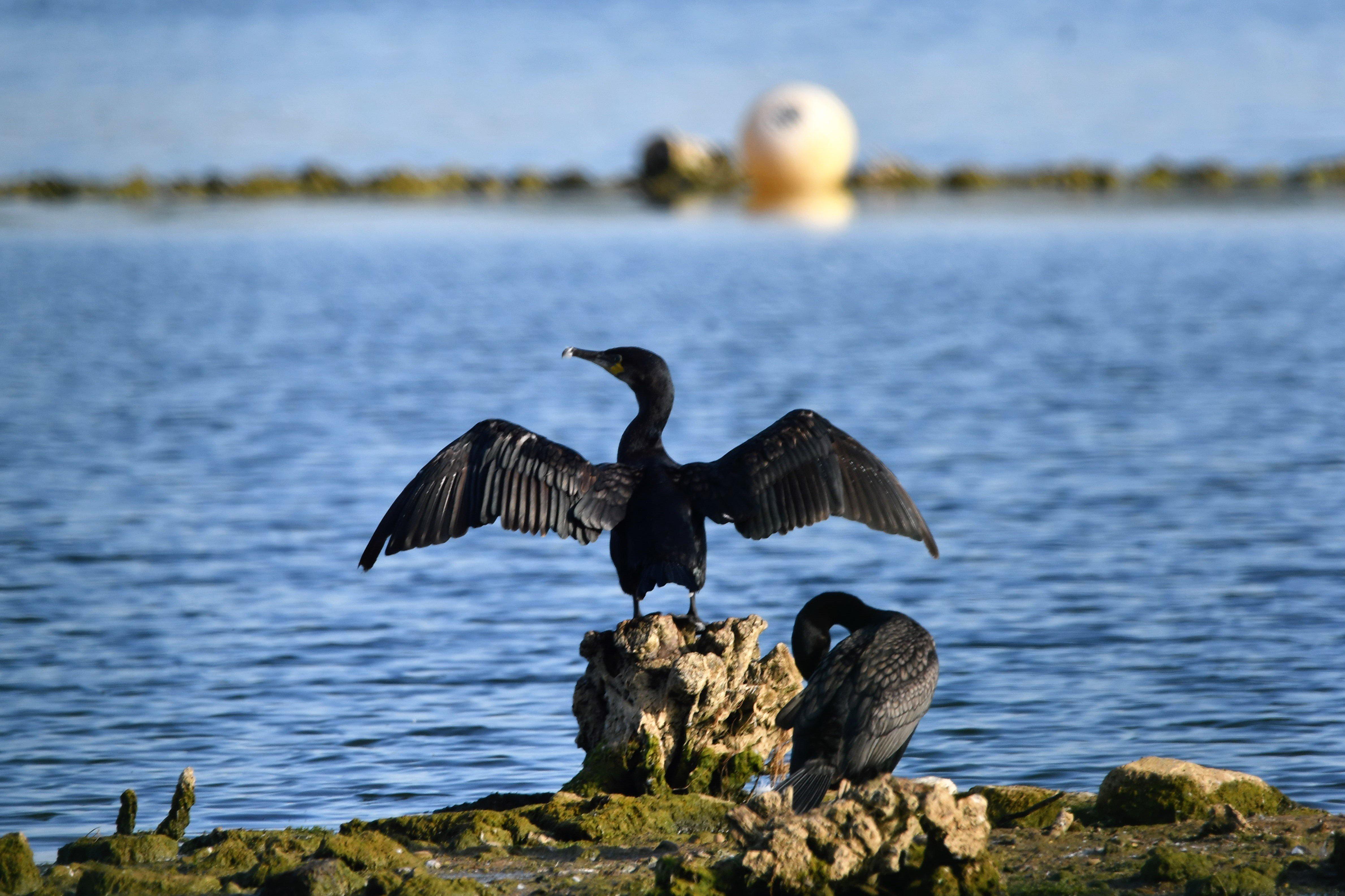 Lyndon Visitor Centre
