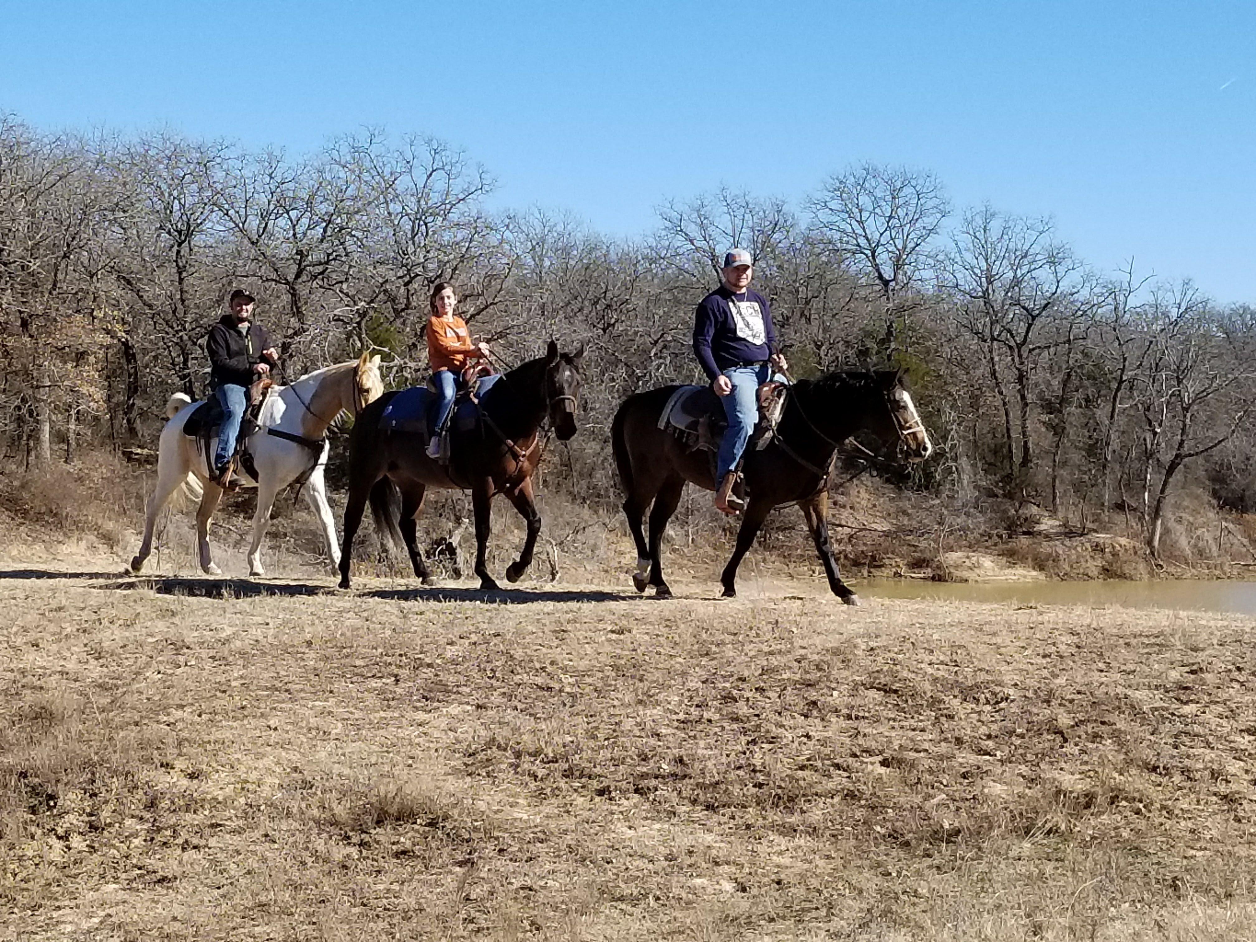 Wright Direction Horsemanship