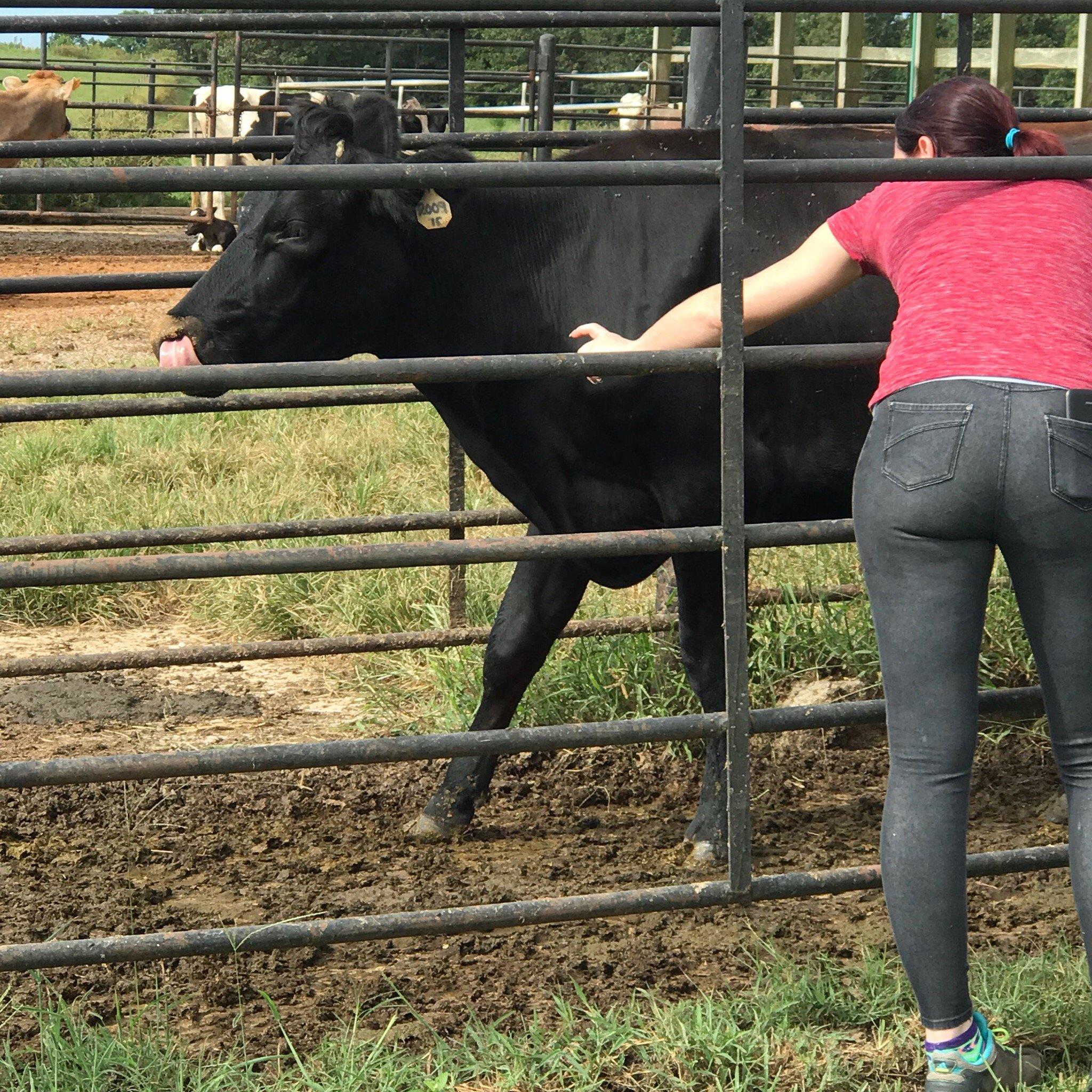 West Georgia Creamery