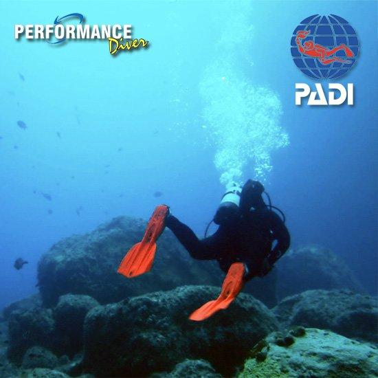 Performance Diver NZ