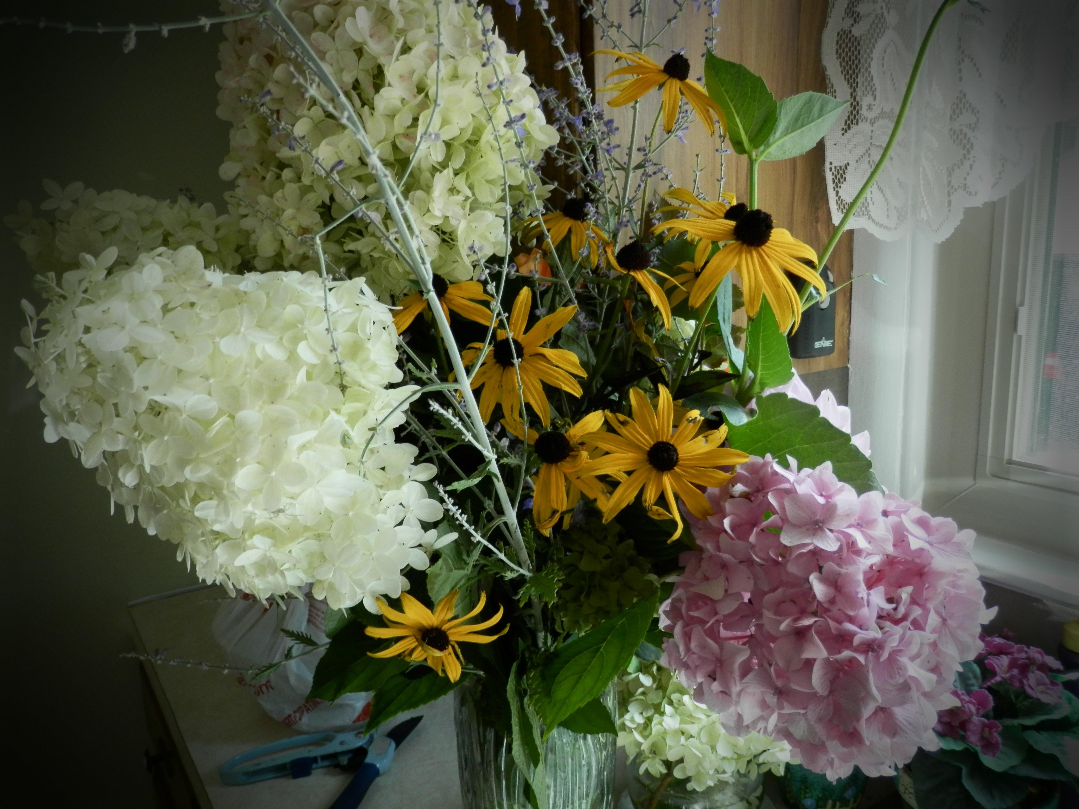 Museum of Photography