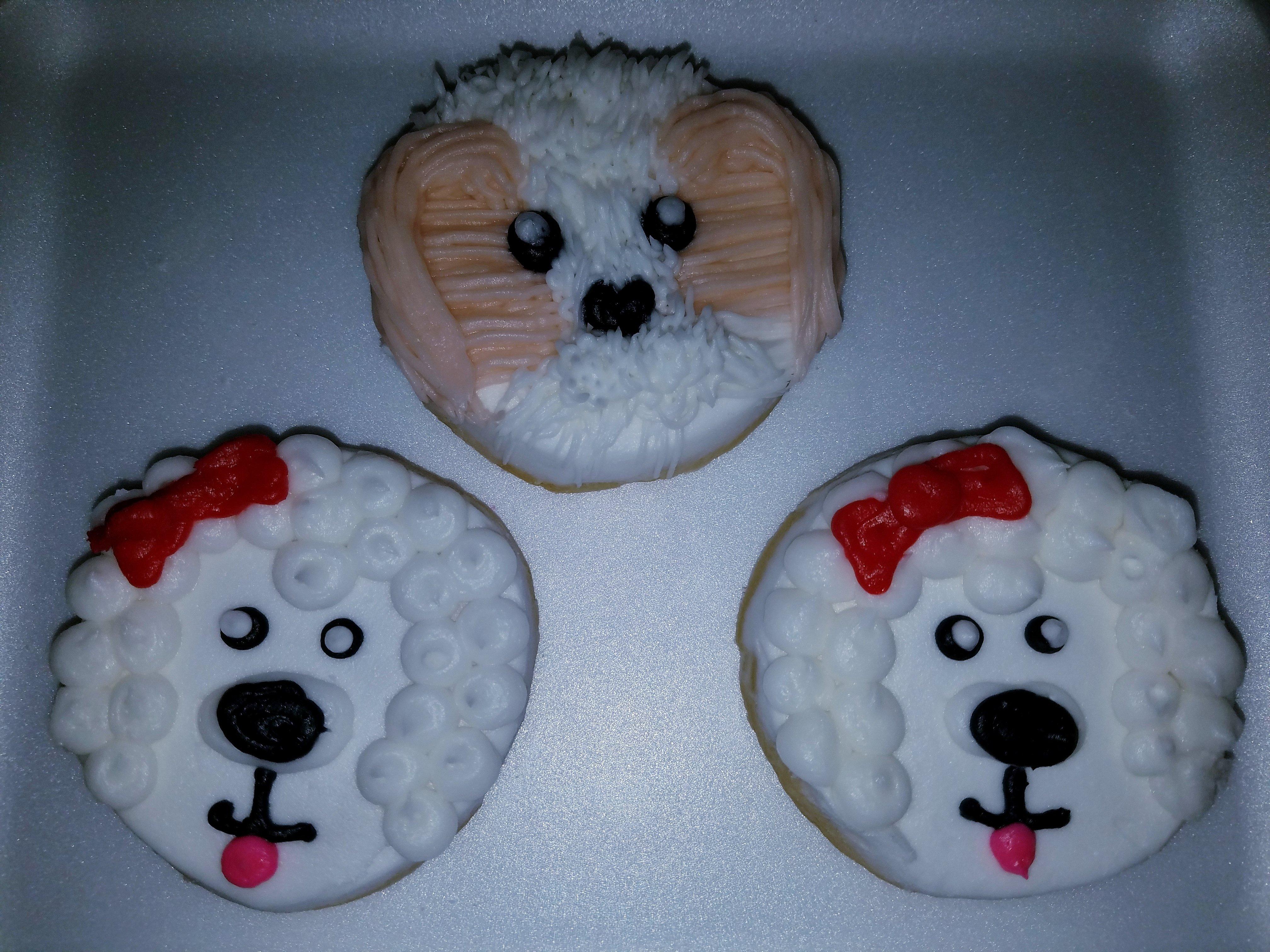 Eileen's Colossal Cookies