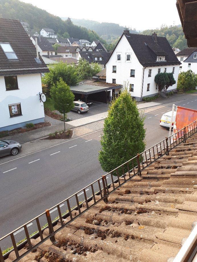 Gasthaus Pension Mester