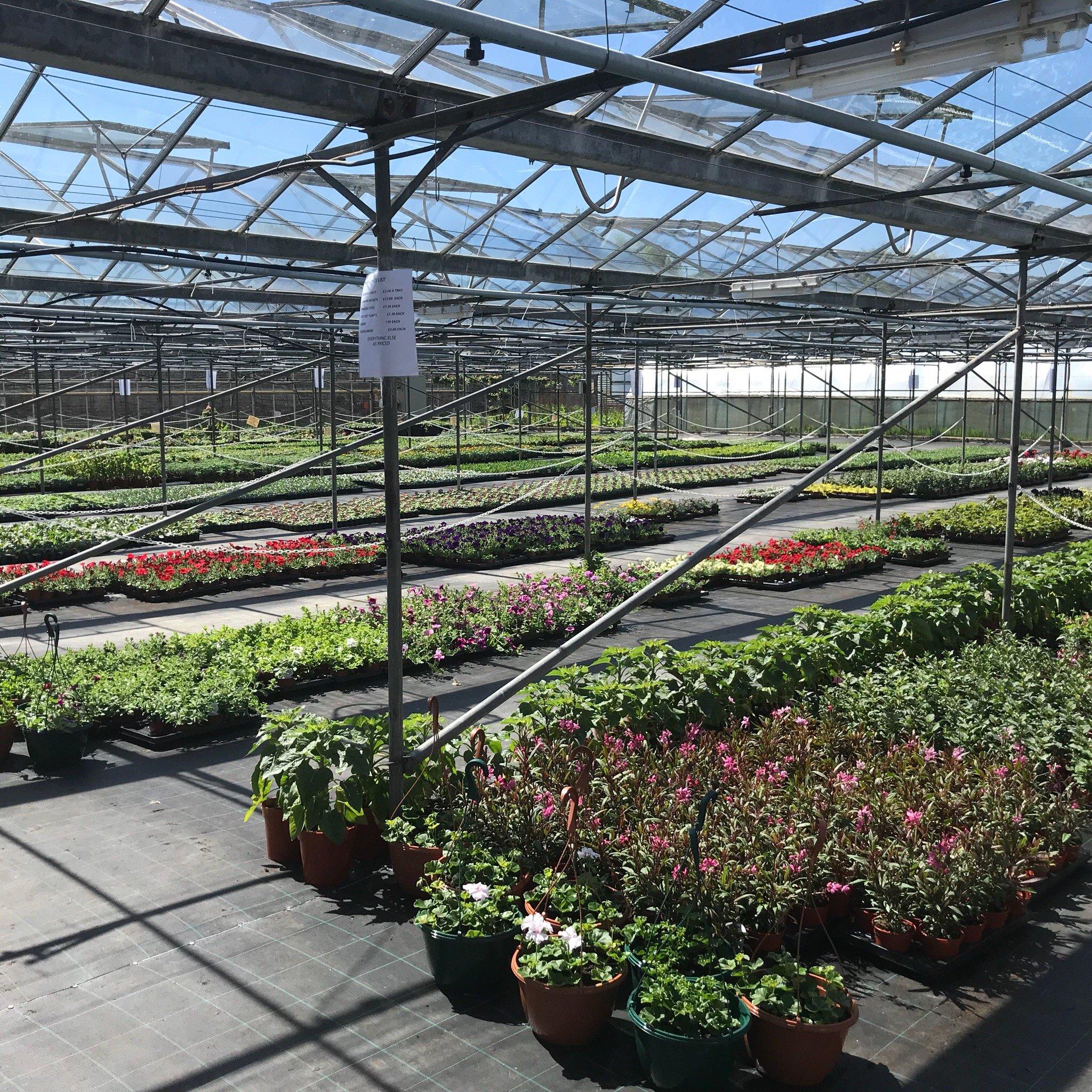 The Grange Coffee Shop and Garden Centre