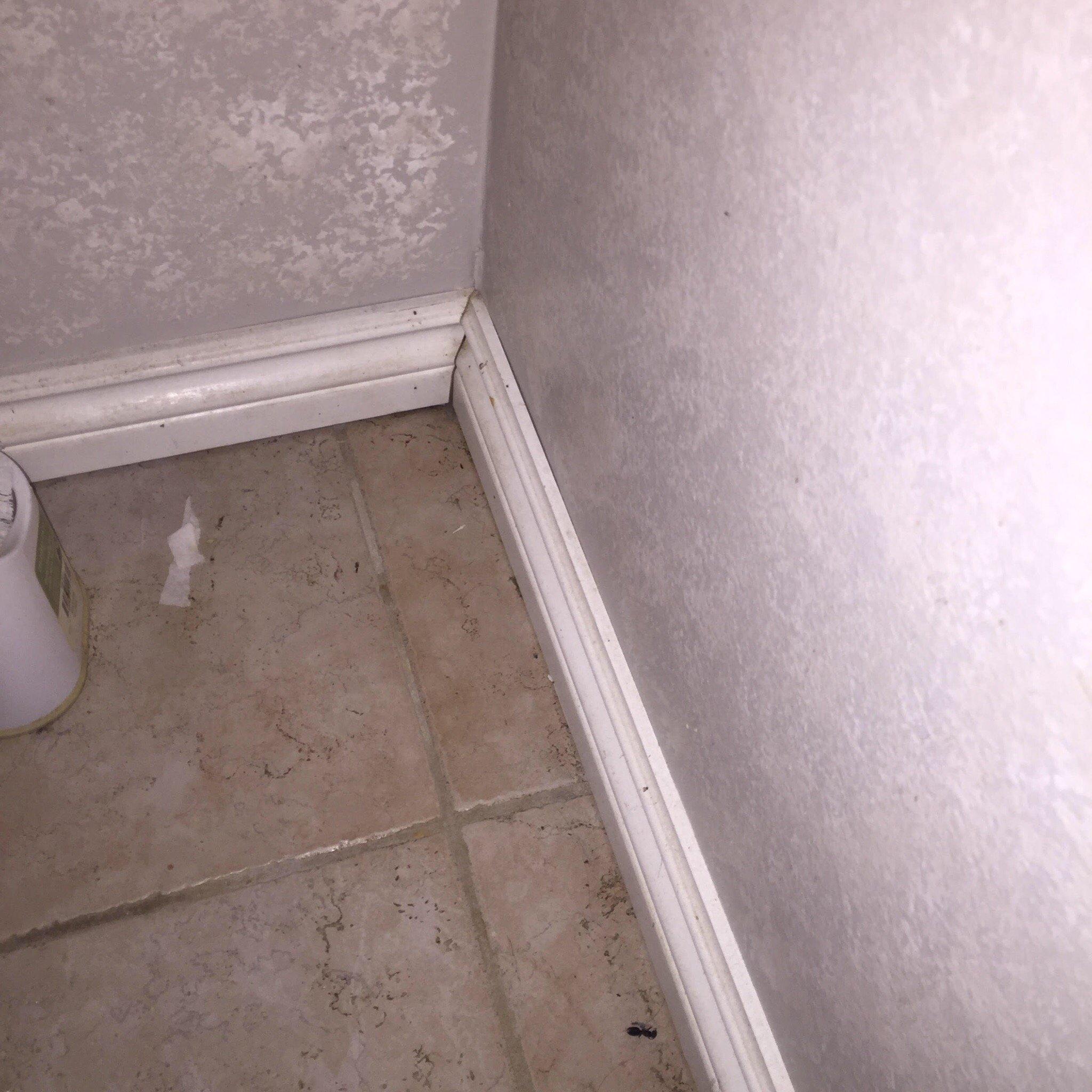 Newaygo Bed & Breakfast