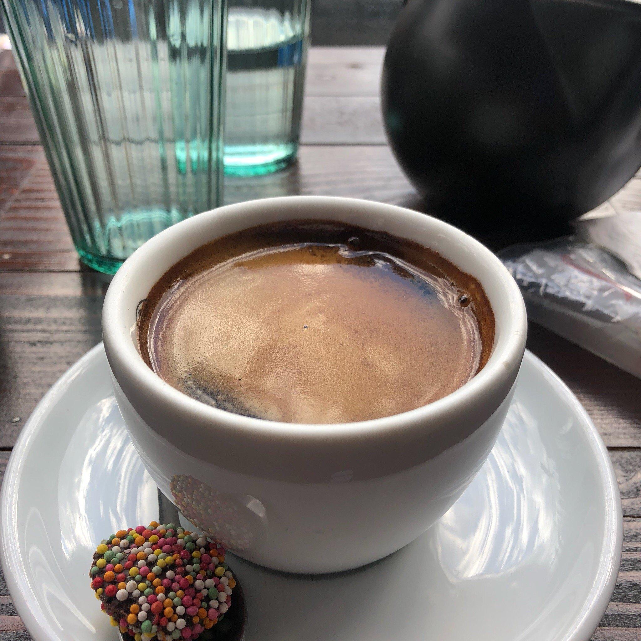 The Wired Owl Coffee Co