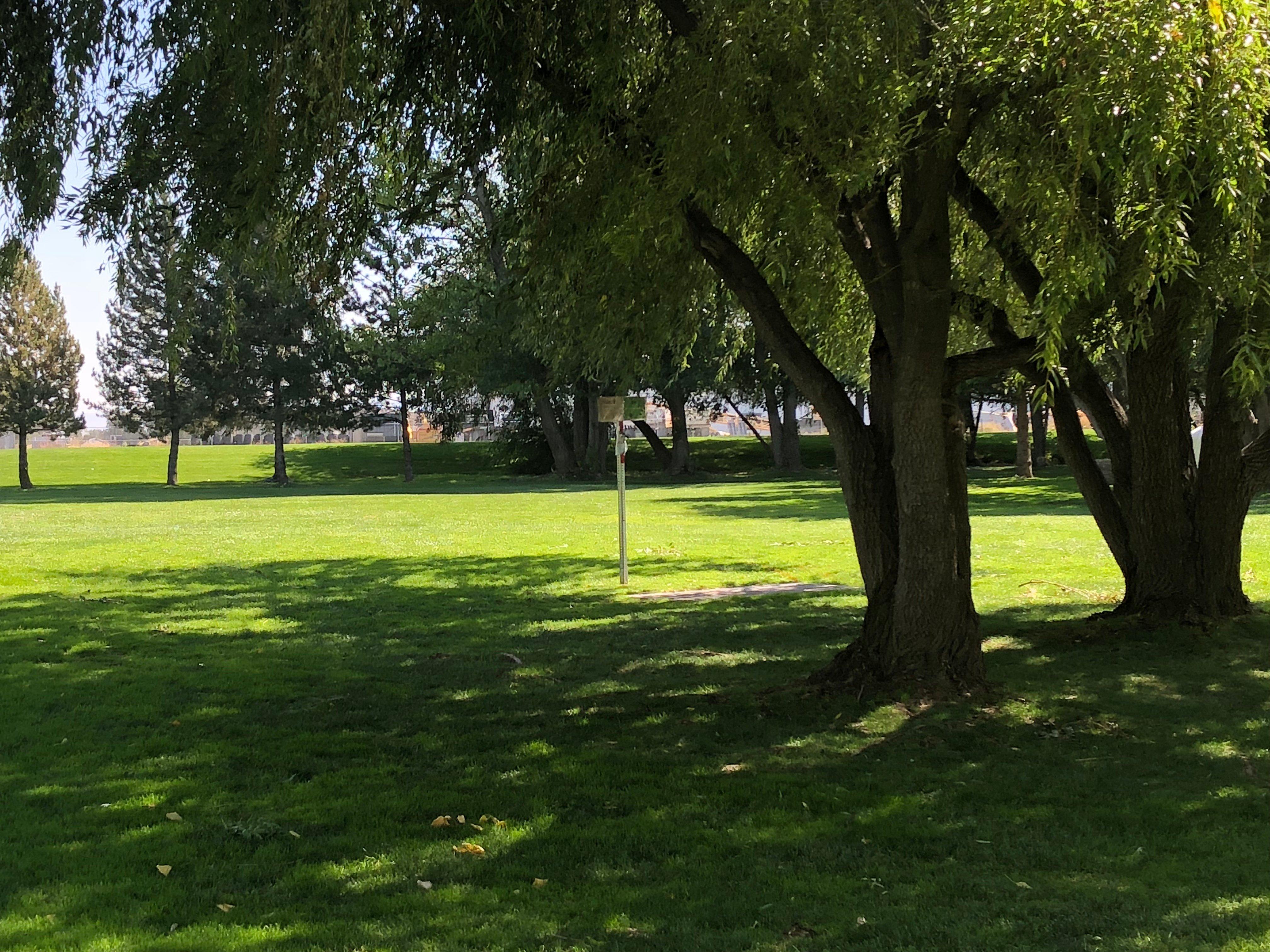 Clair Boyle Skate Park