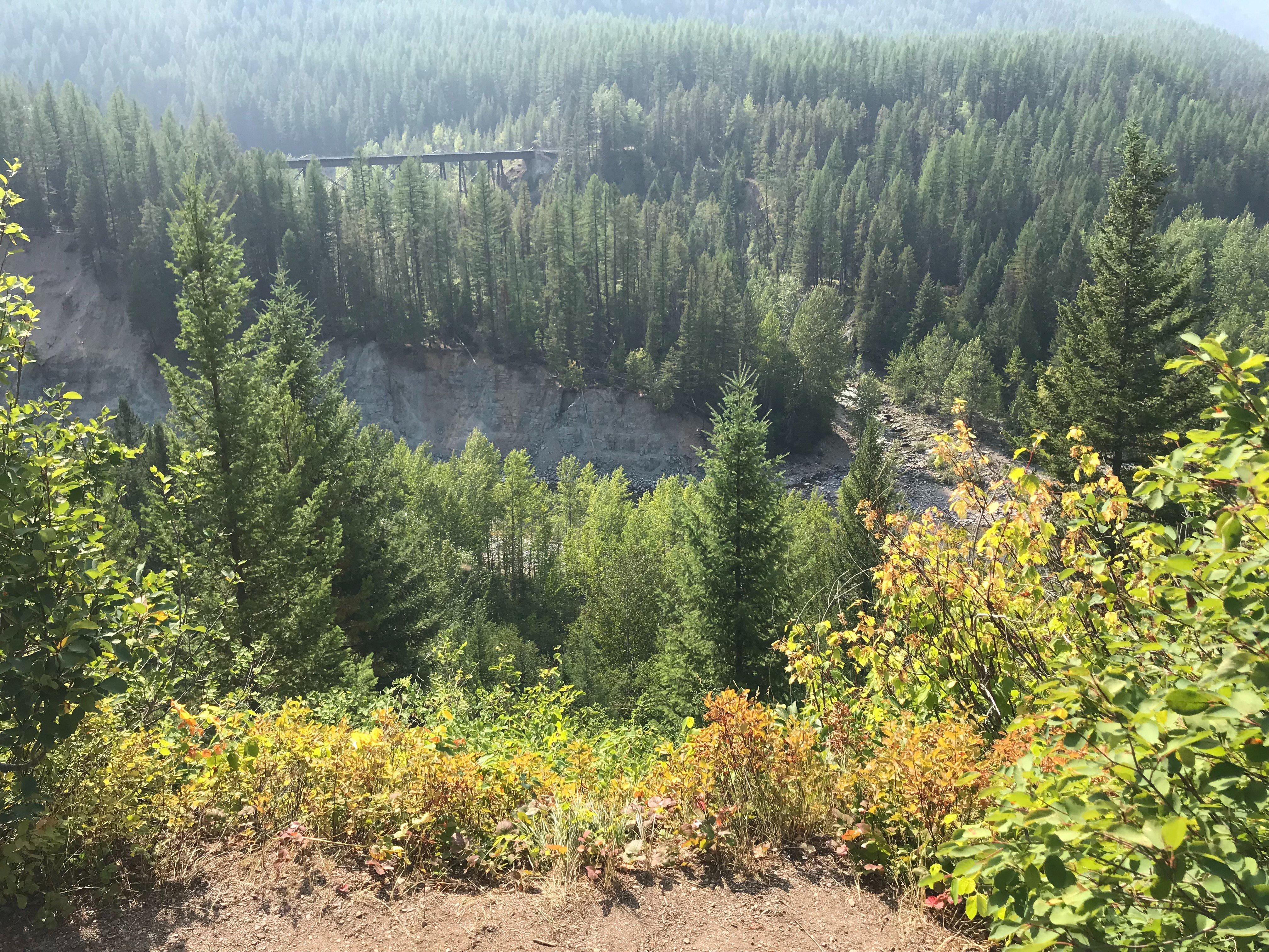 Photo by RobertW2h483MD