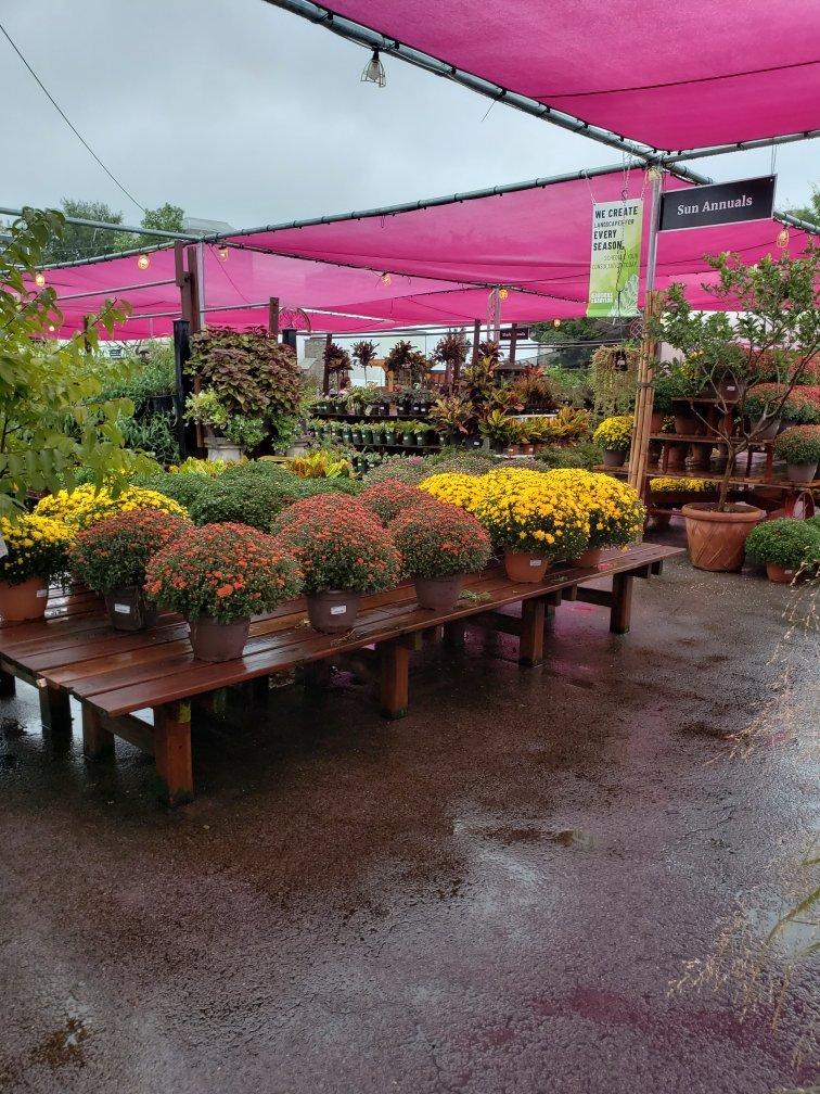 Photo by DawgExplorer