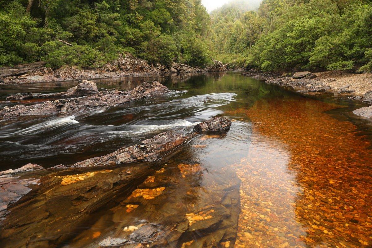 Water by Nature Tasmania - Franklin River Rafting