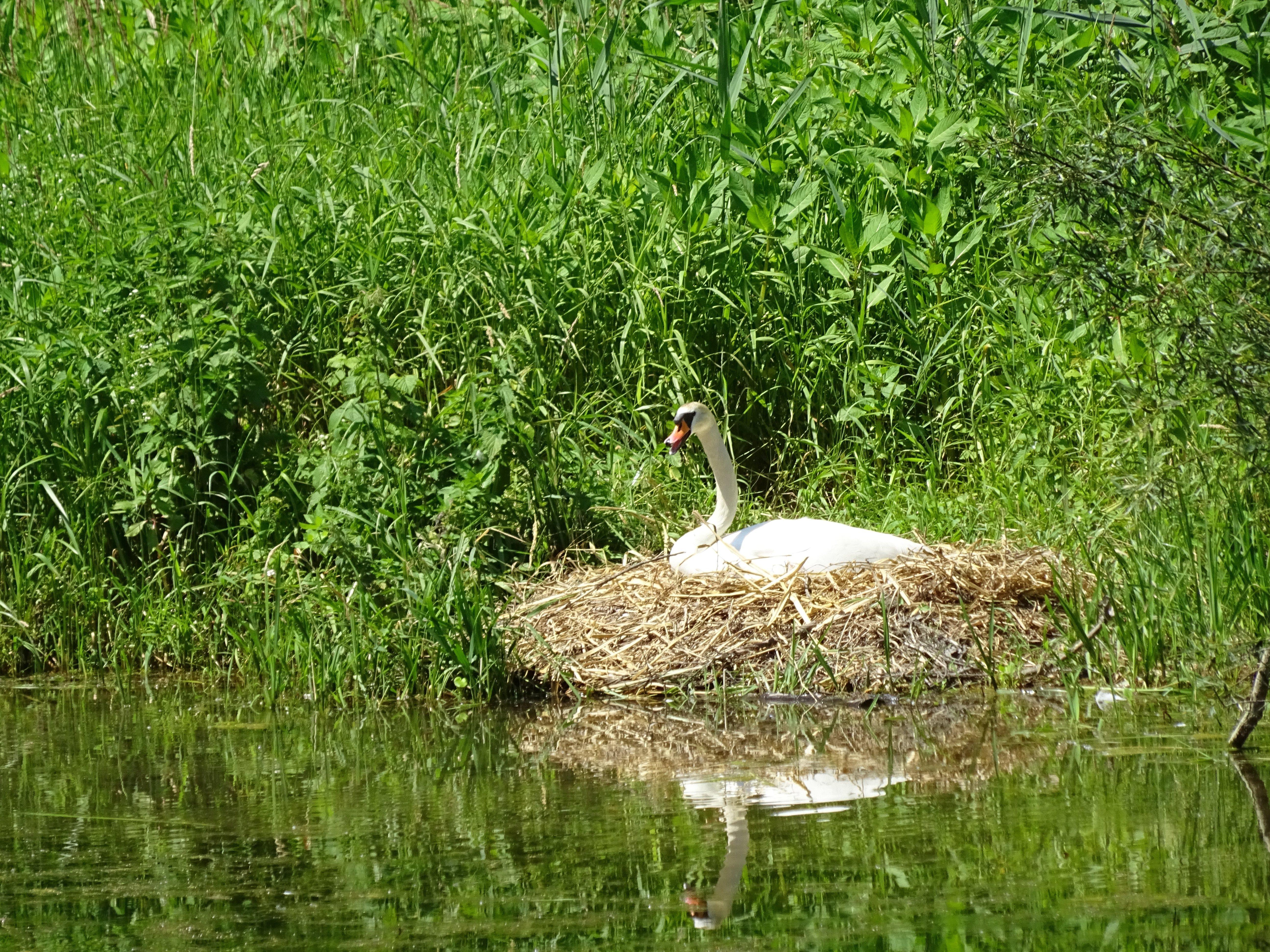 Auen-Wildnispfad Wanderung