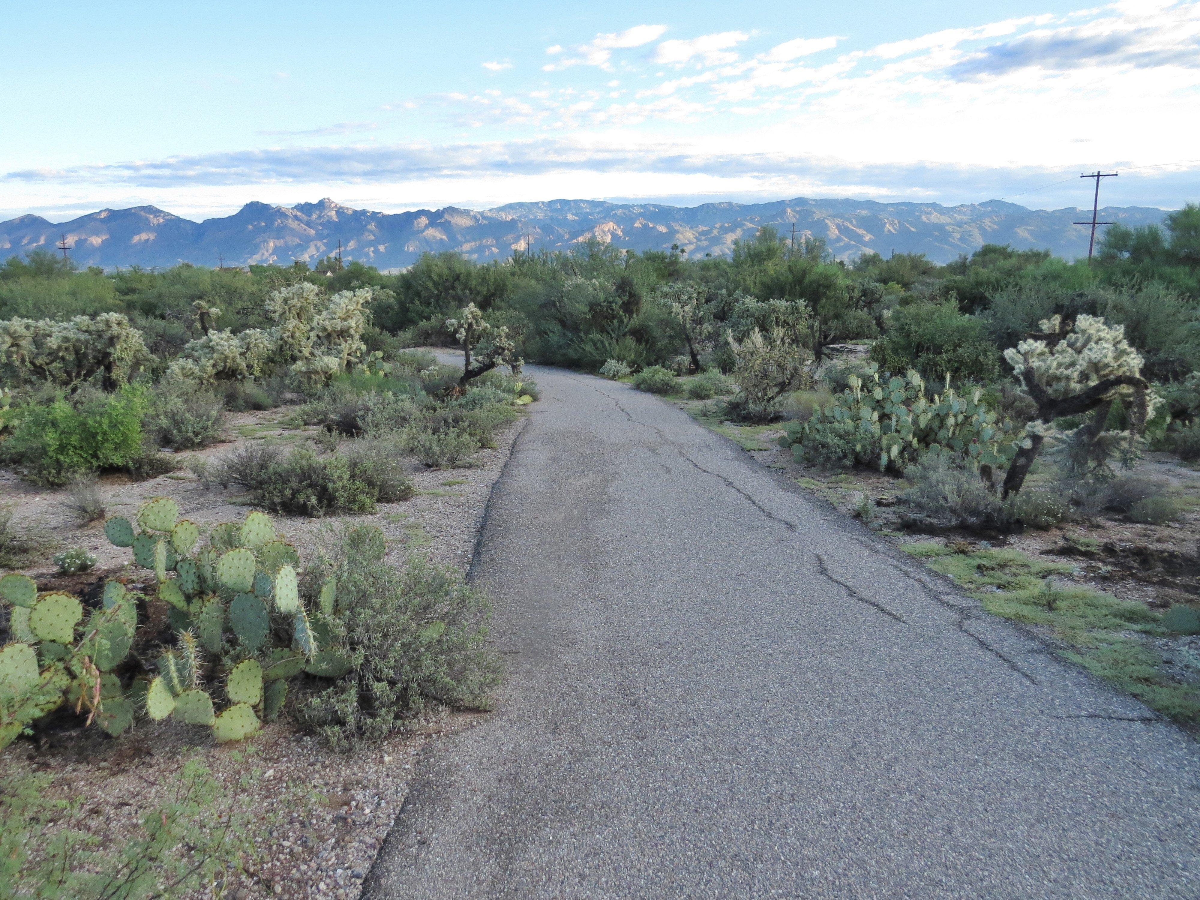 Case Natural Resource Park