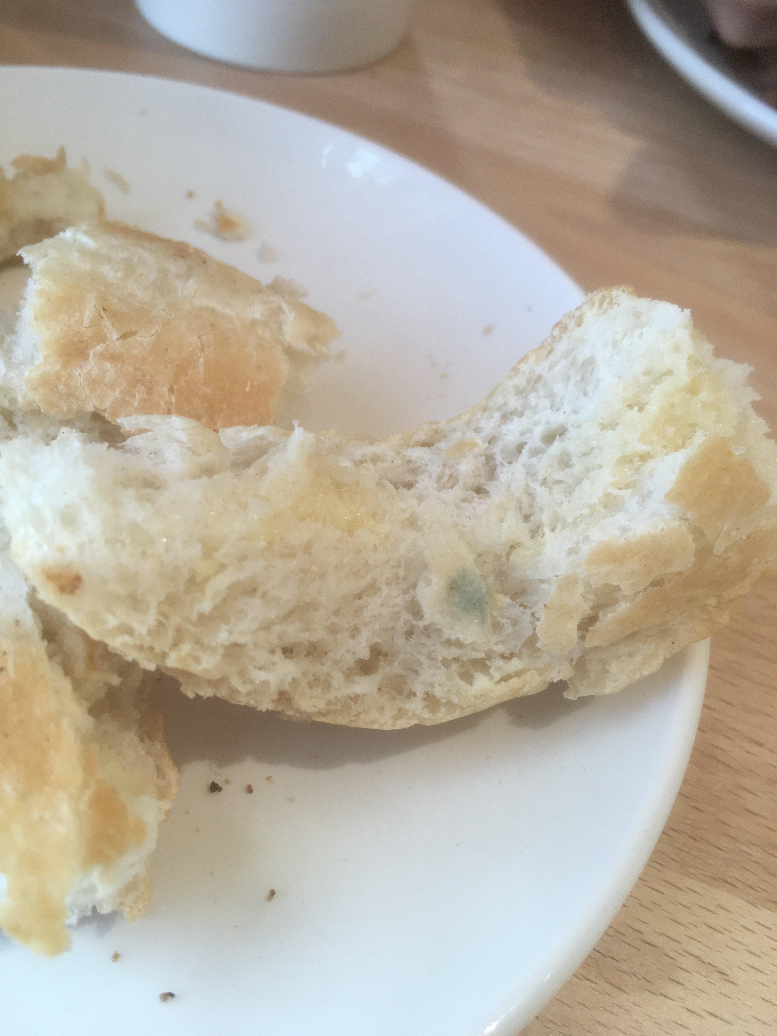 Photo by Katierattle