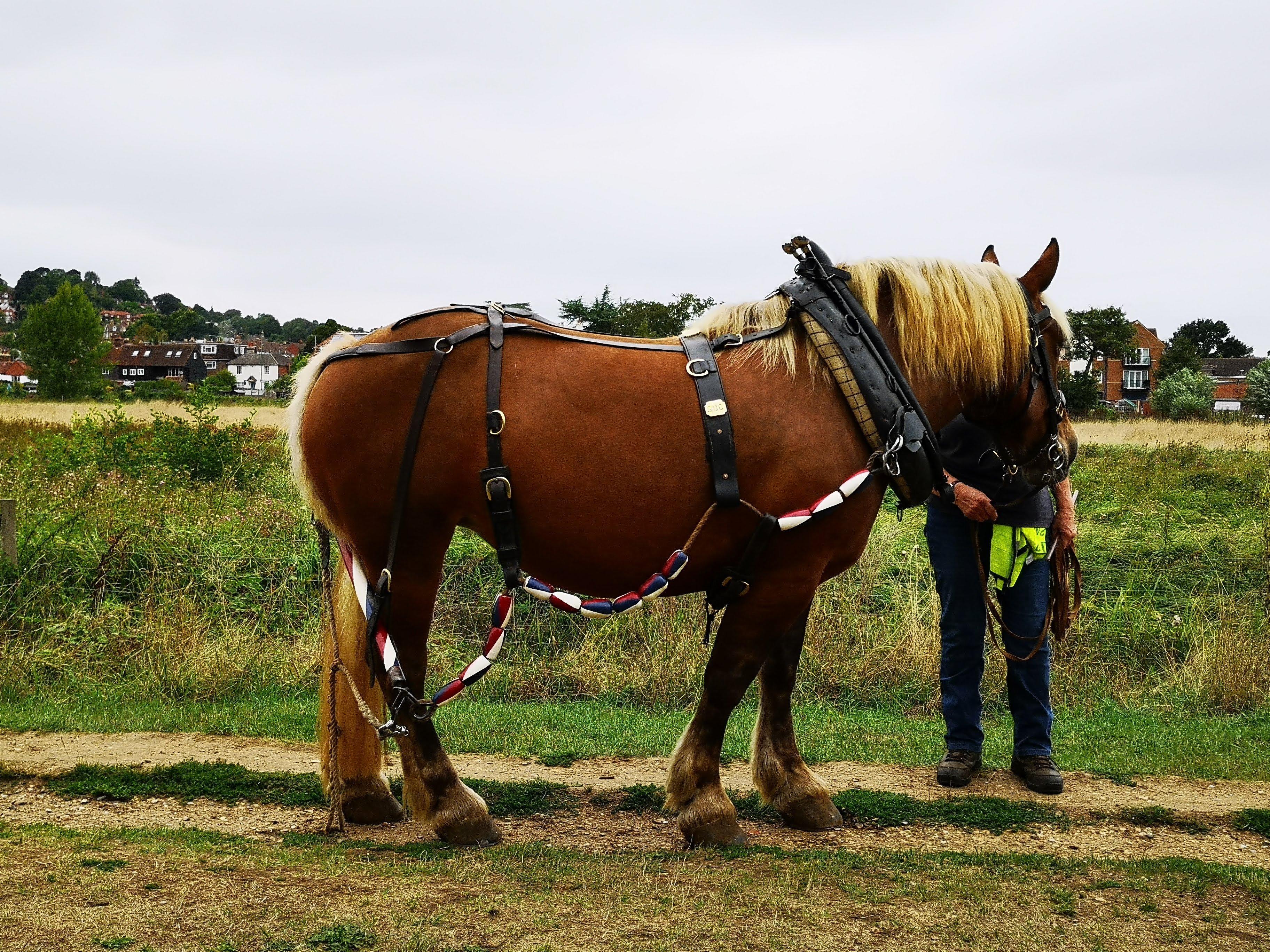 Godalming Packet Boat