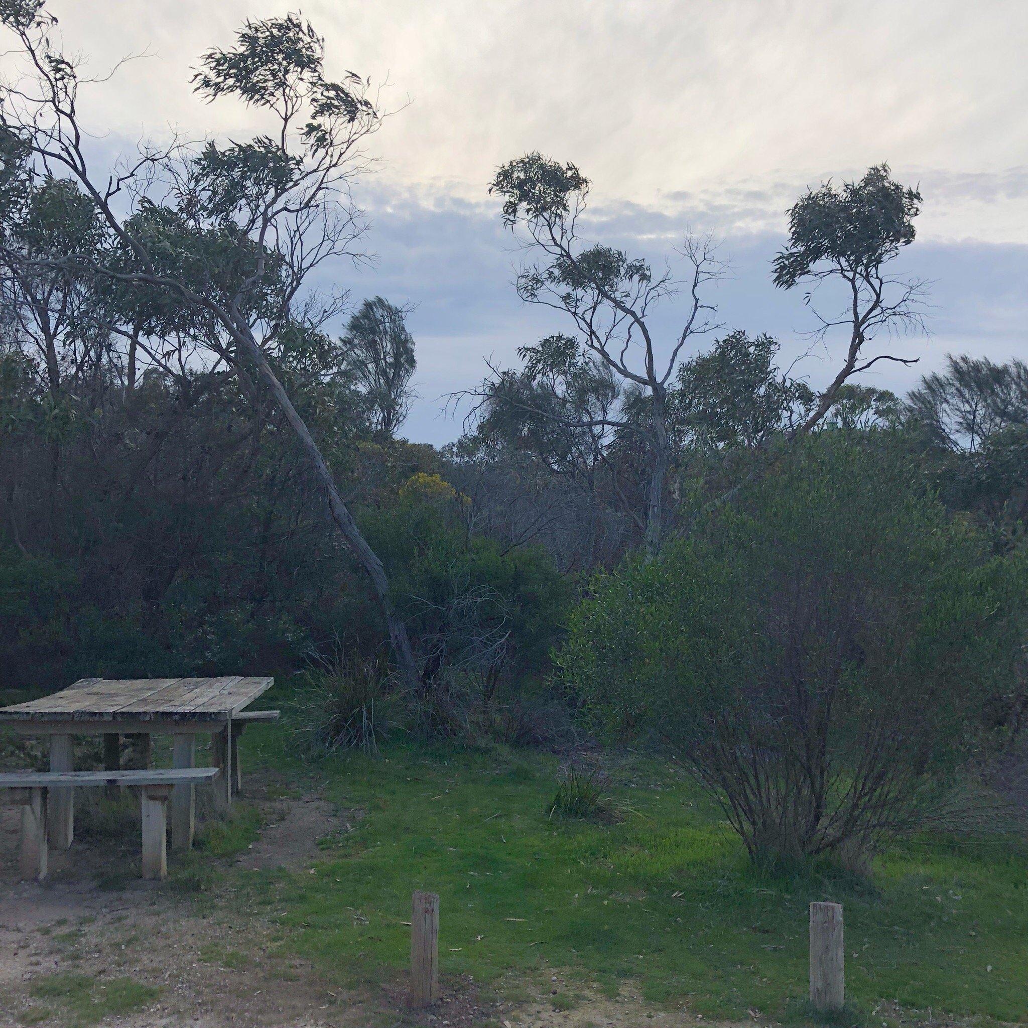 Bluff Picnic Area and Lookout