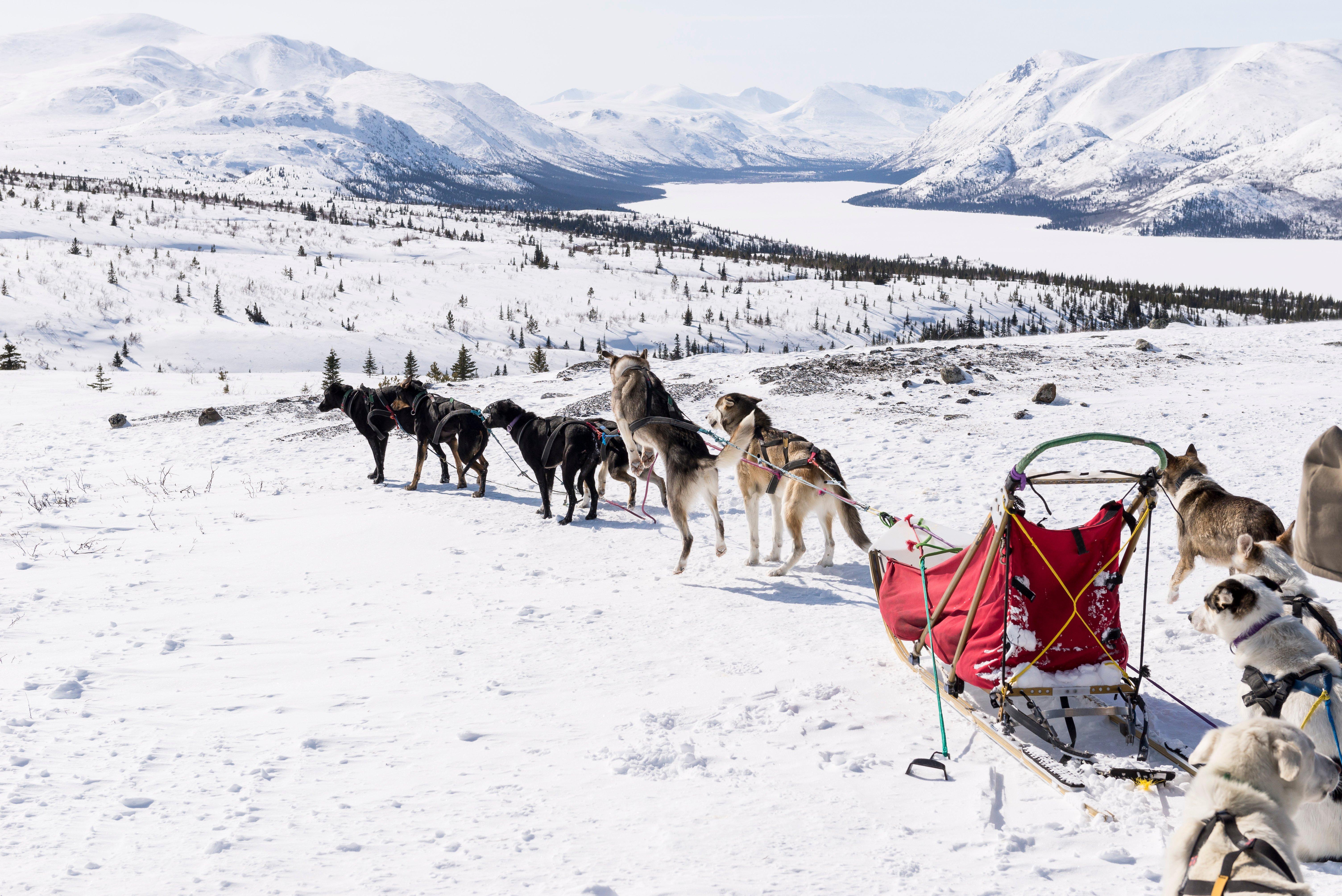 Into the Wild Adventures