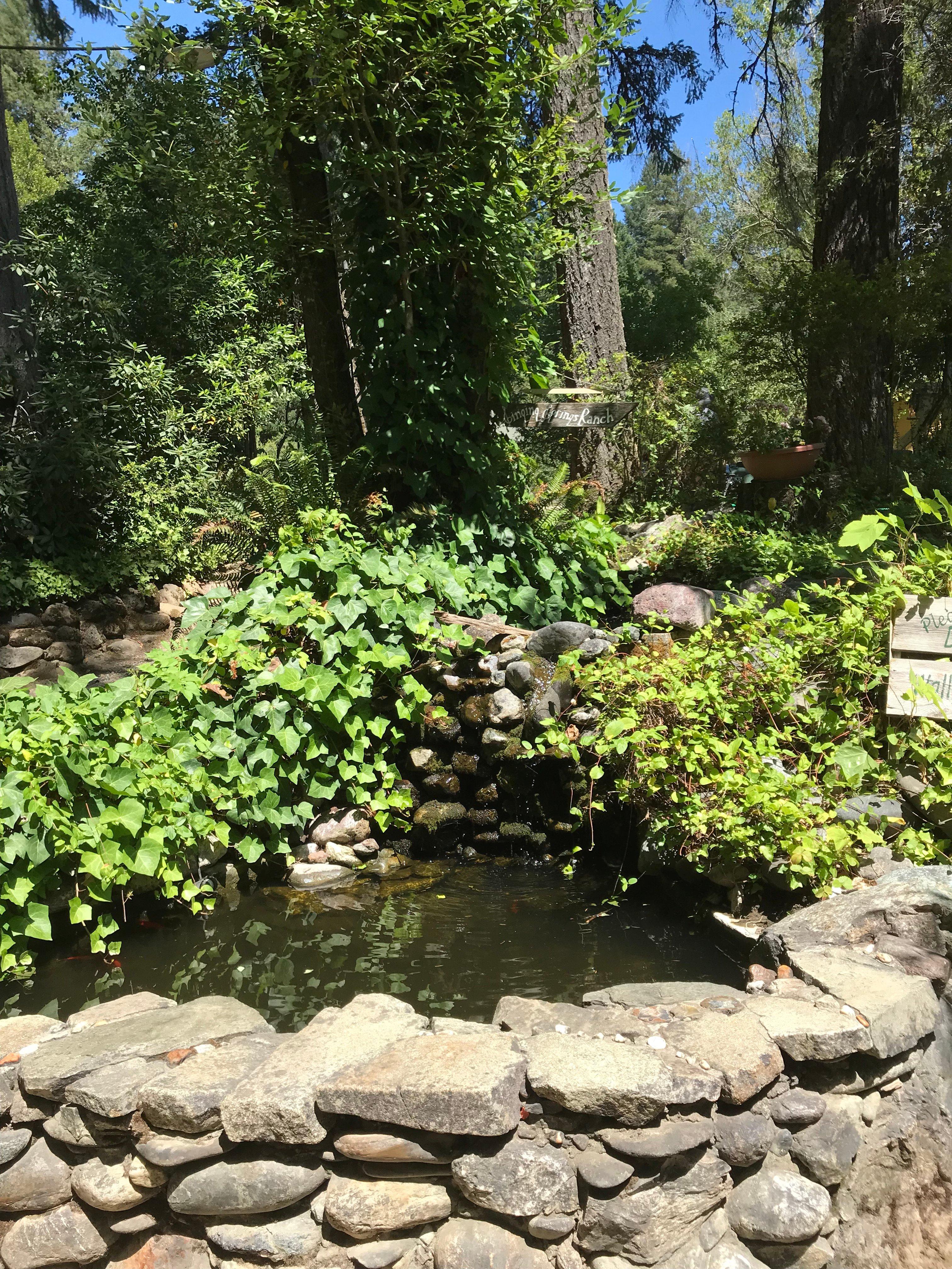 Singing Springs Resort Restaurant