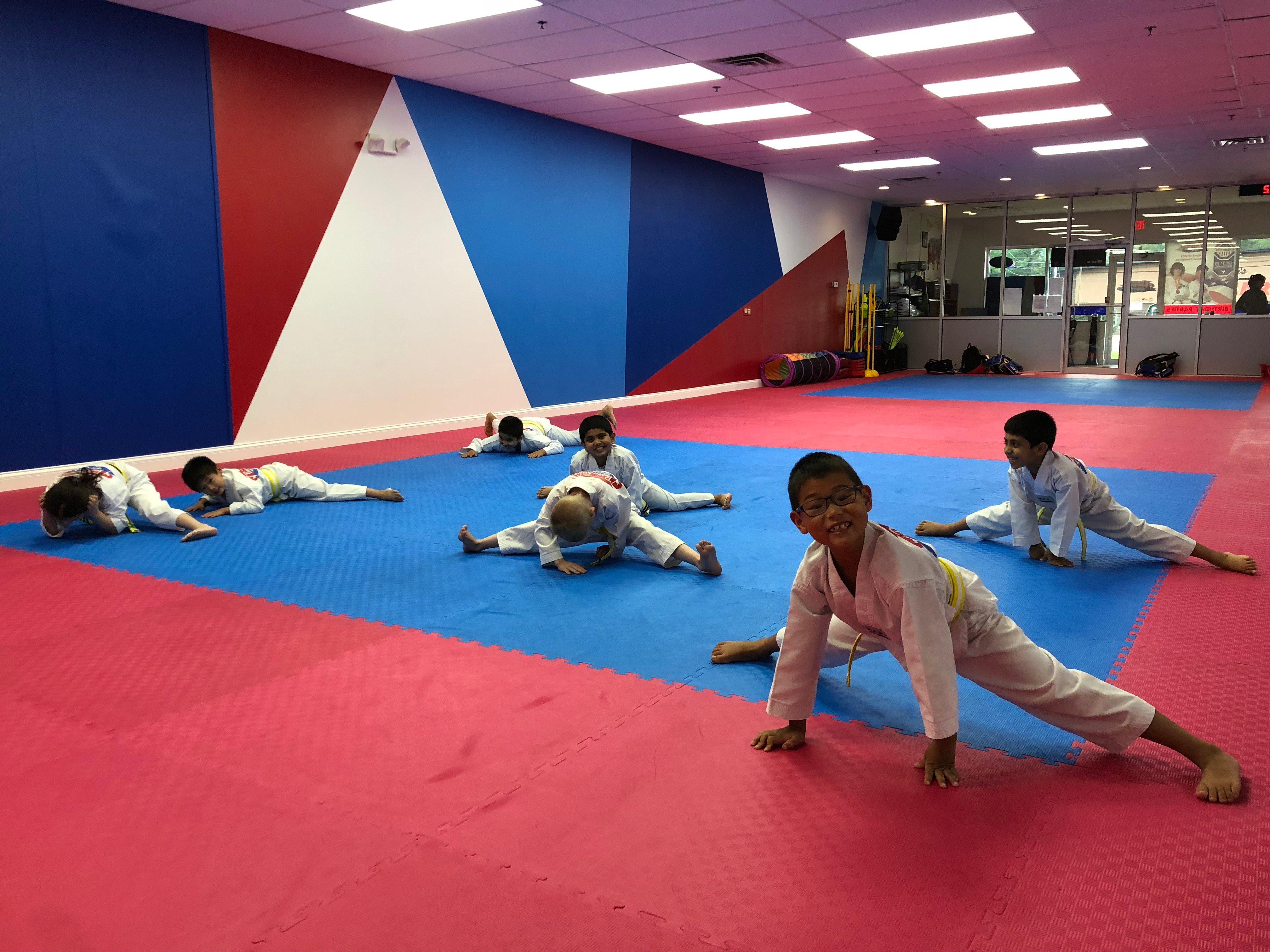 Premier Sport Taekwondo