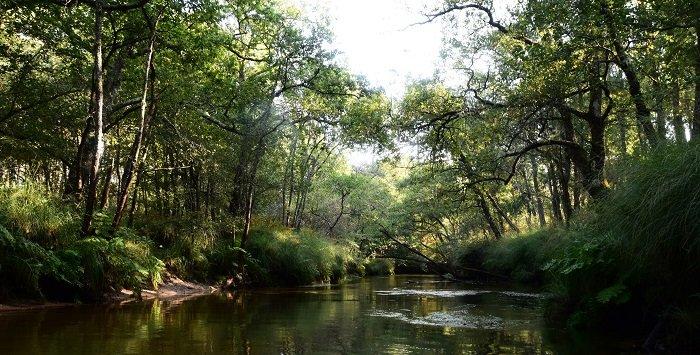 La base de loisirs de Testarouman