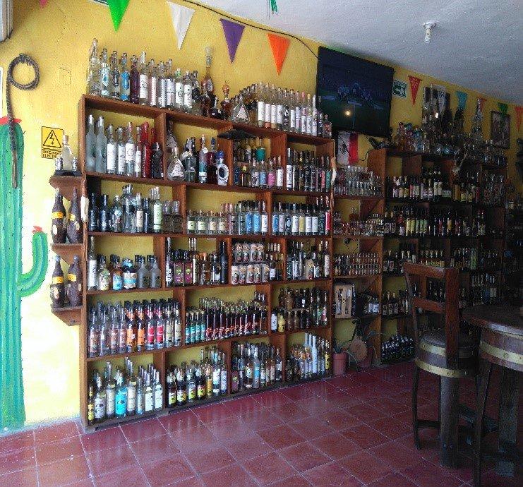 El Burro Agavero Tequileria