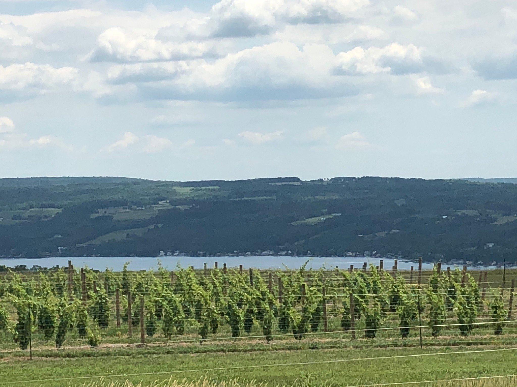 Photo by azurehillwinery