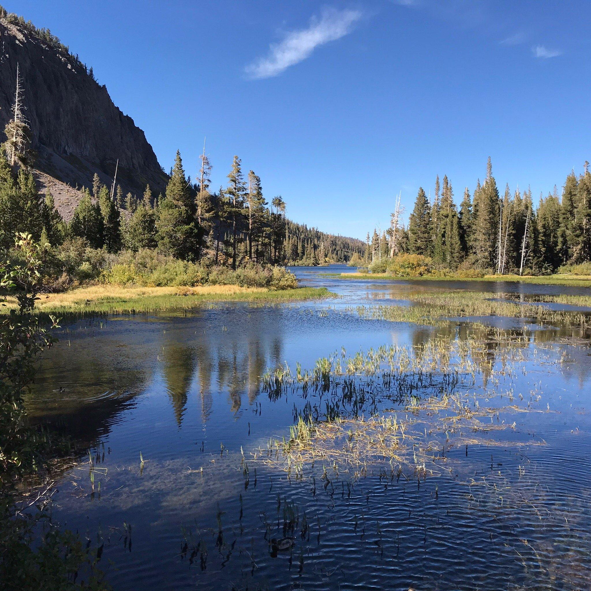 Photo by steelriver2014