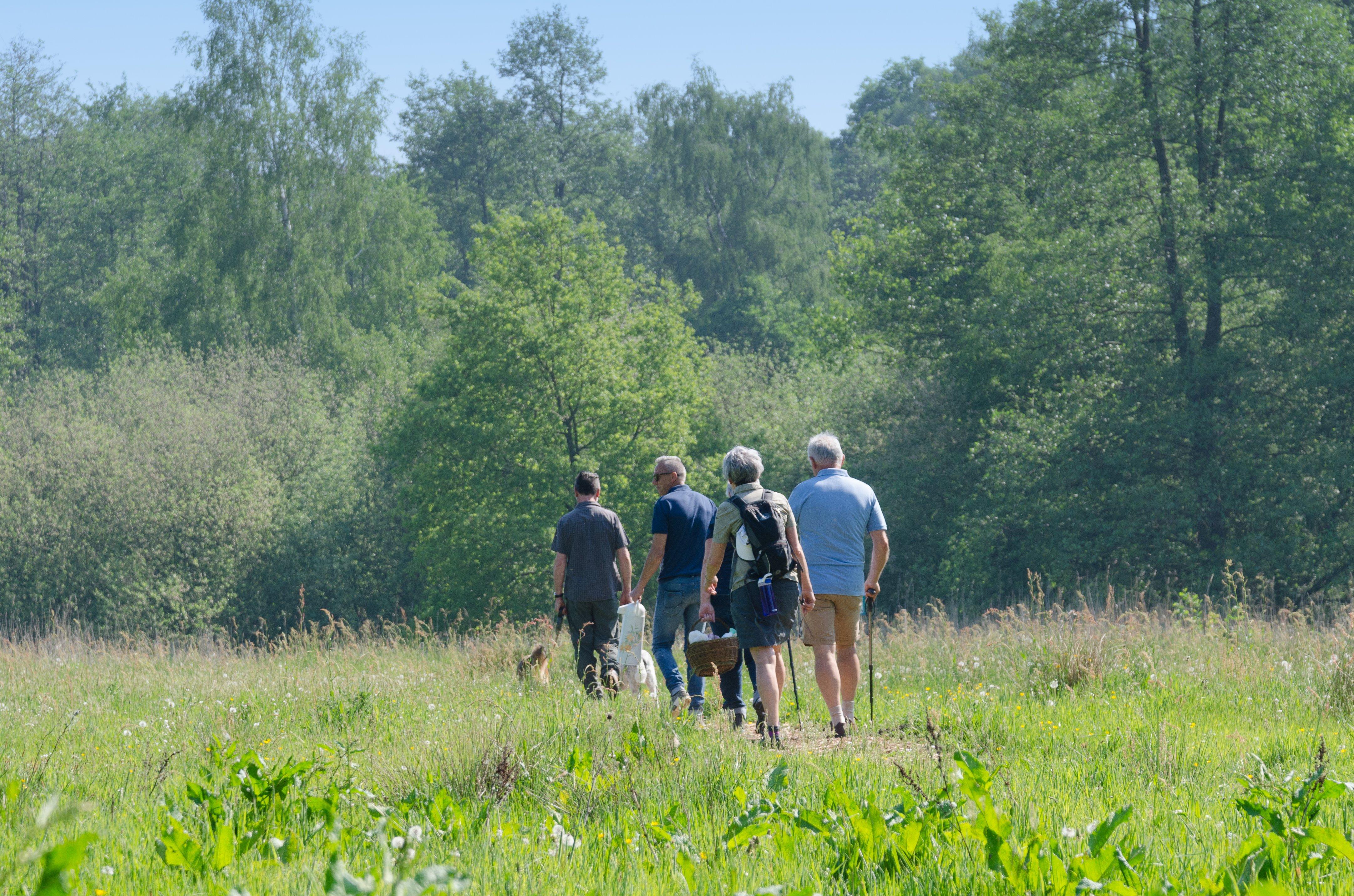 Photo by GrandTour771108