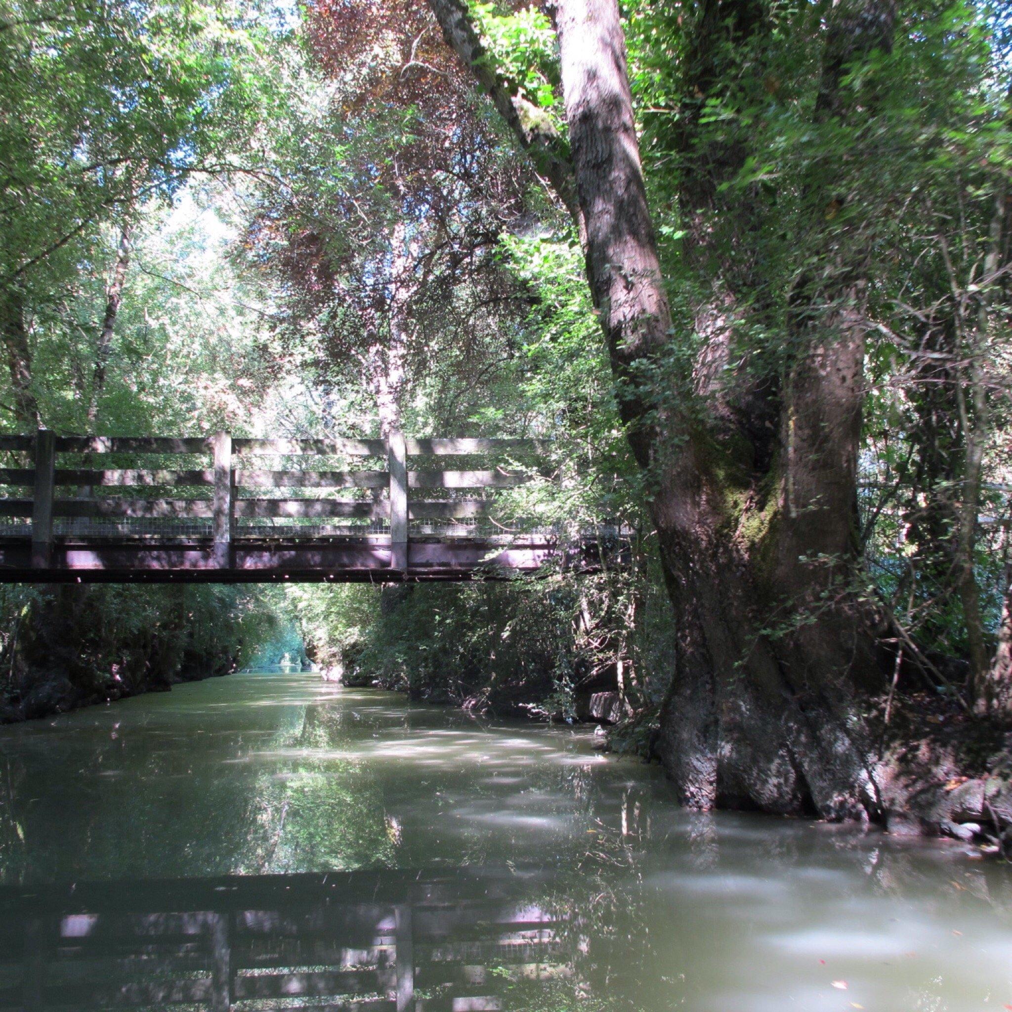 Oiseaux du Marais Poitevin