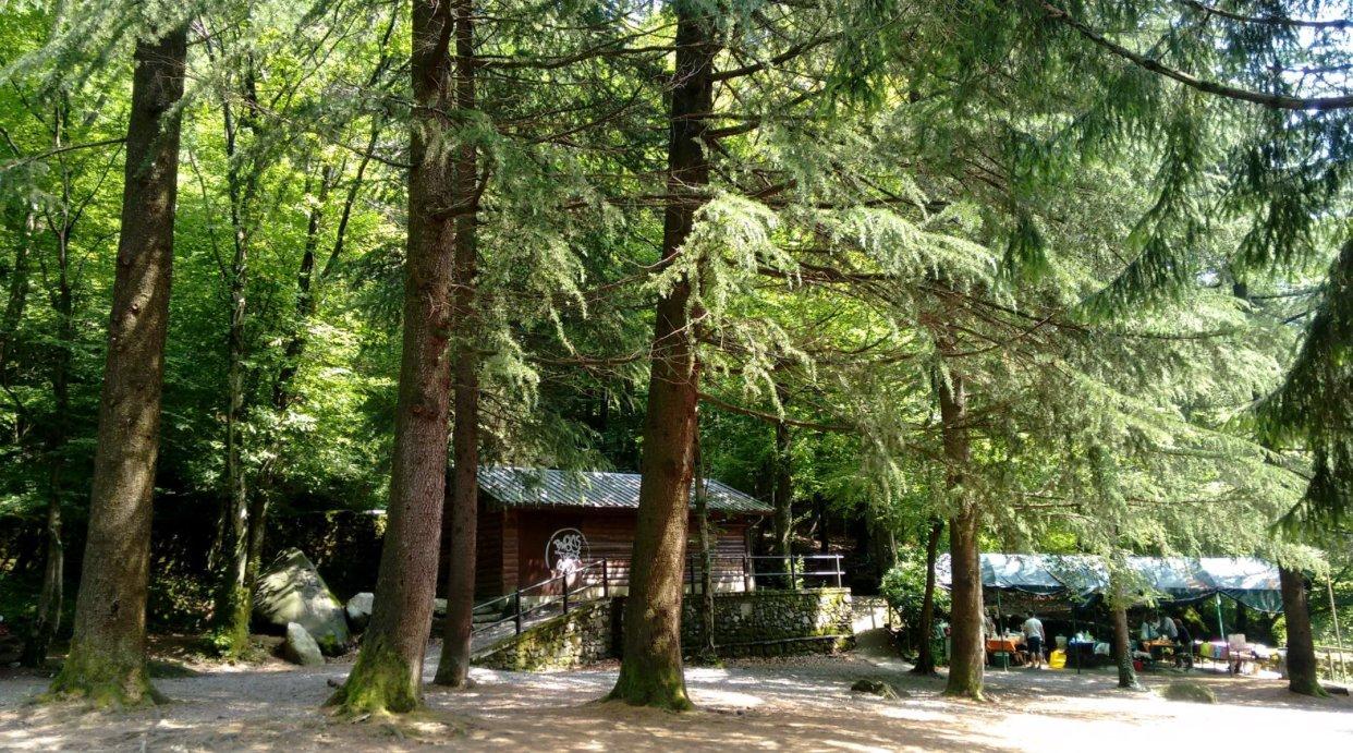 Photo by ivansN6226HP