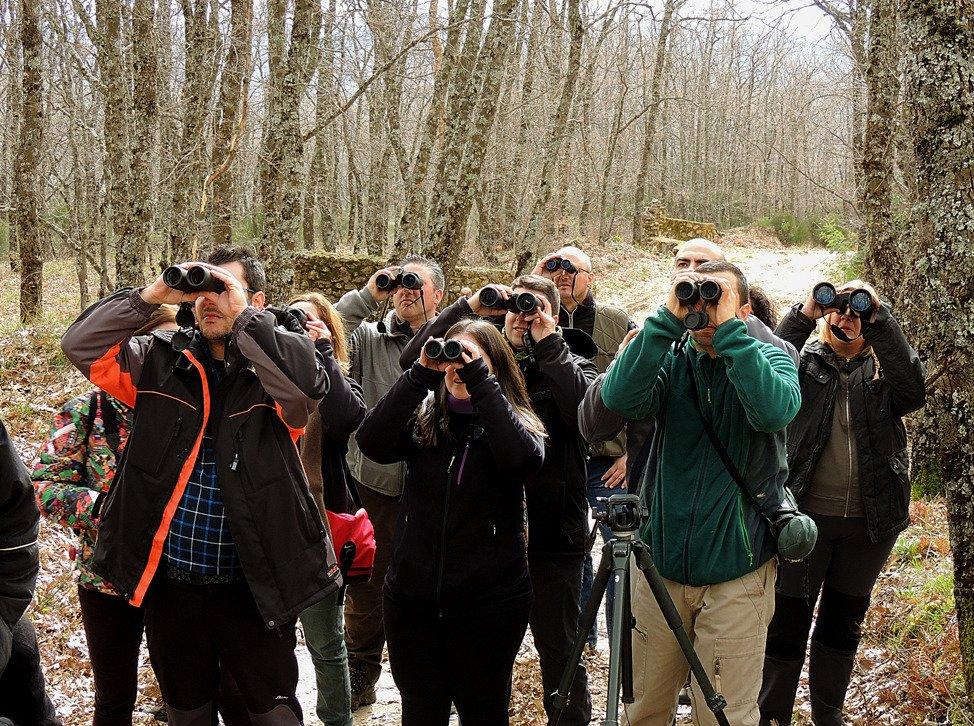 Iberian Nature - Servicio de Guias de Naturaleza