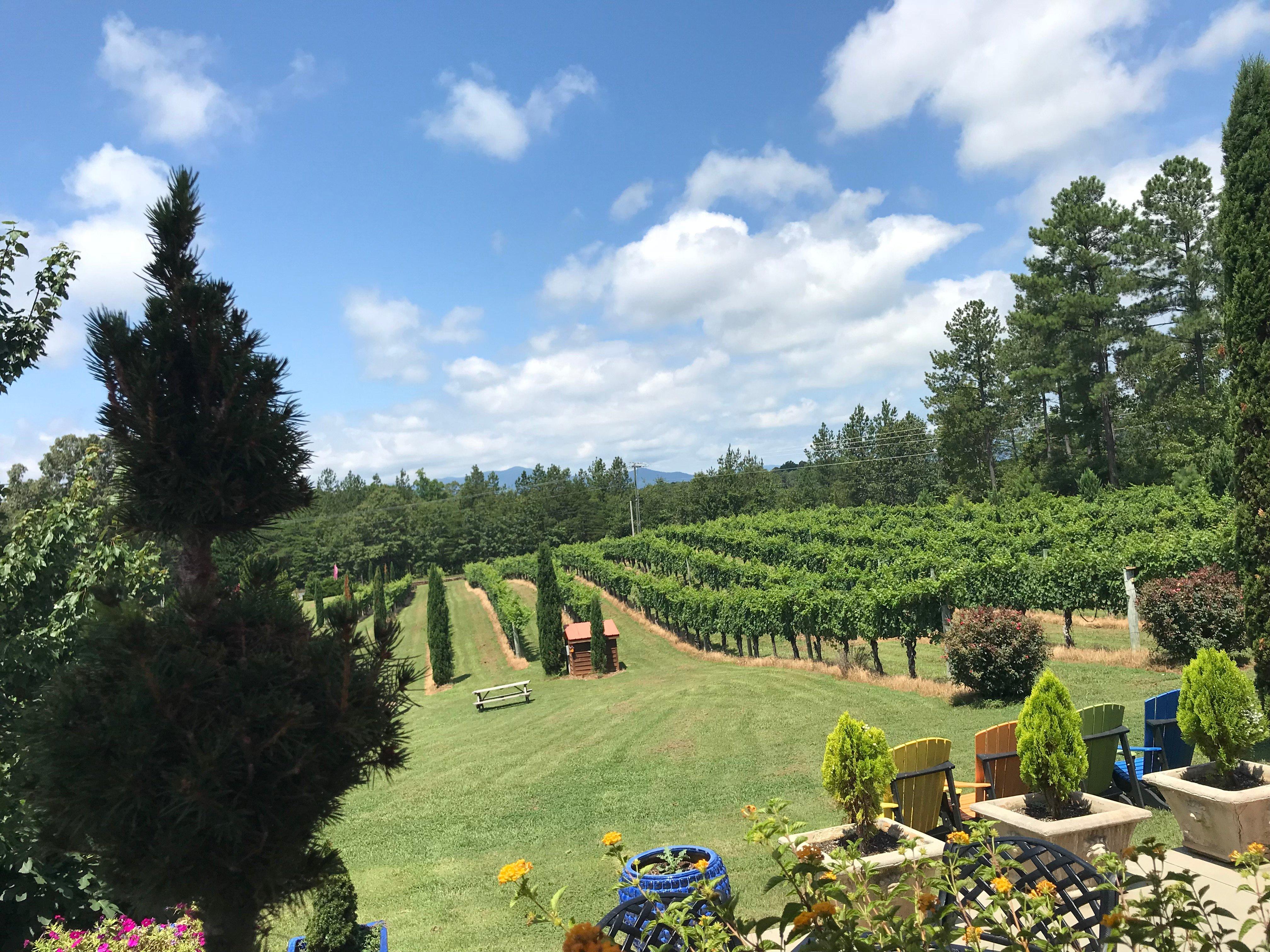 Overmountain Vineyards