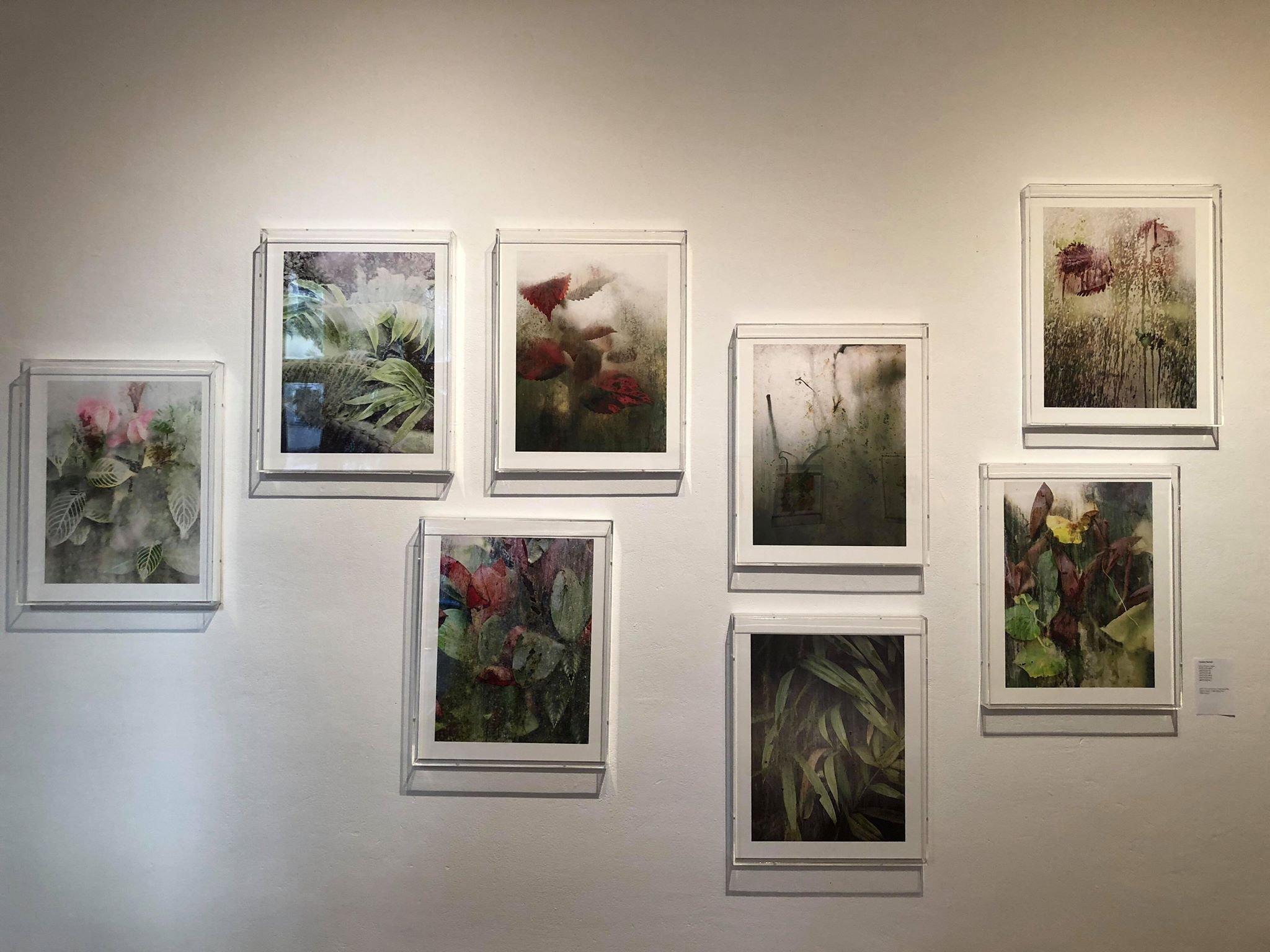 Luisa Catucci Gallery