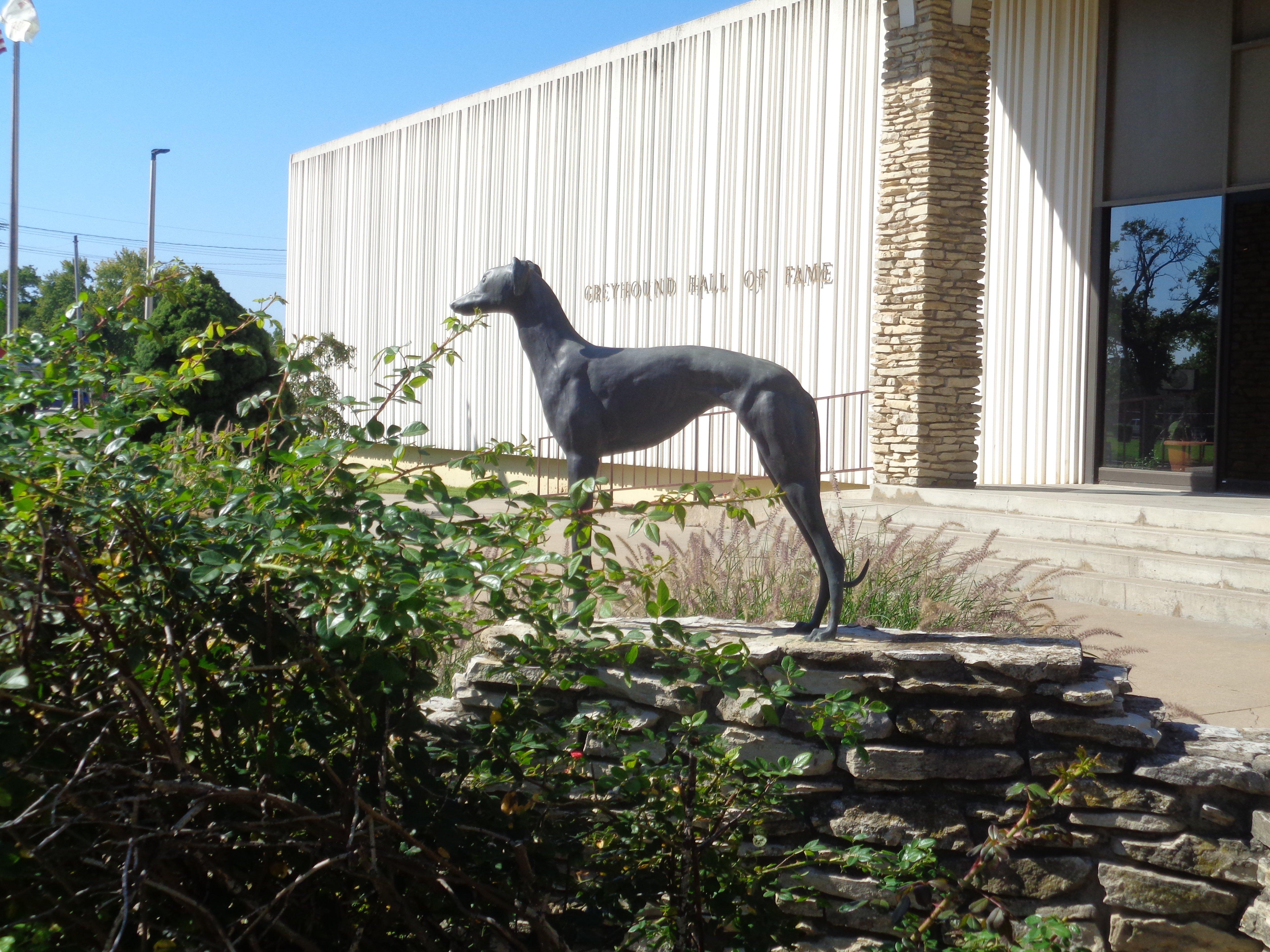 Greyhound Hall of Fame