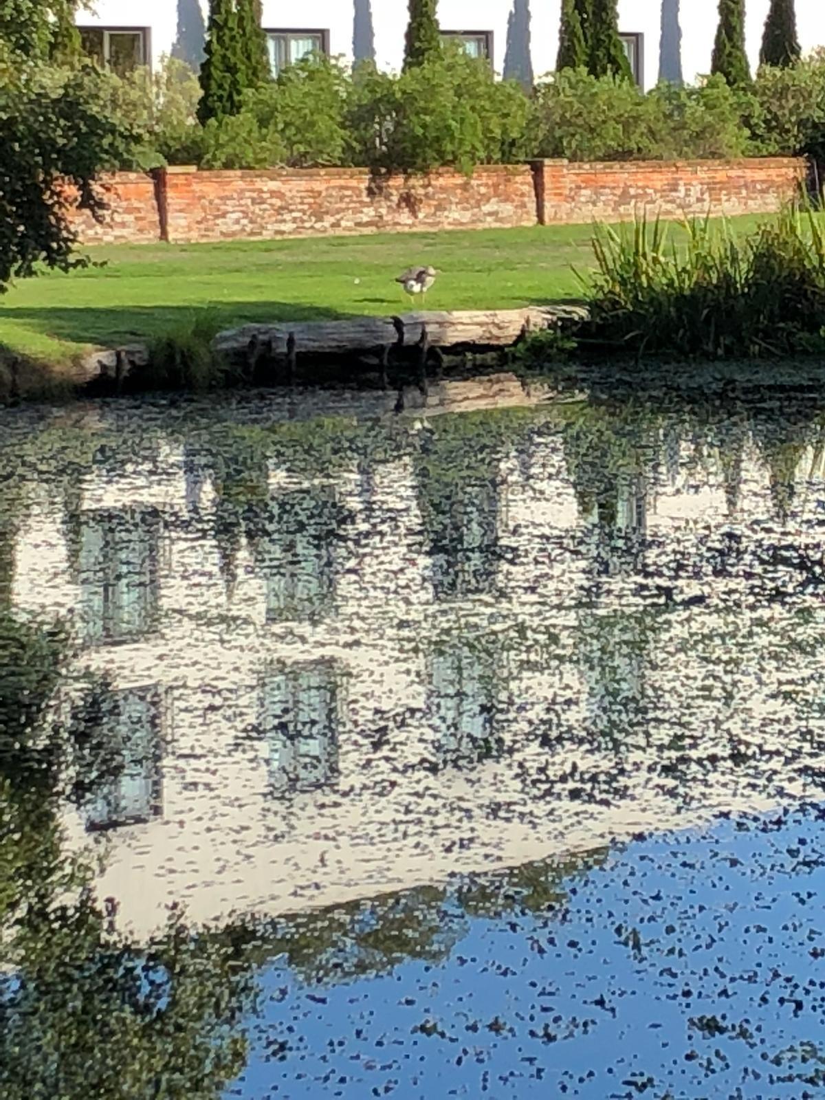Elm Farm Country Park