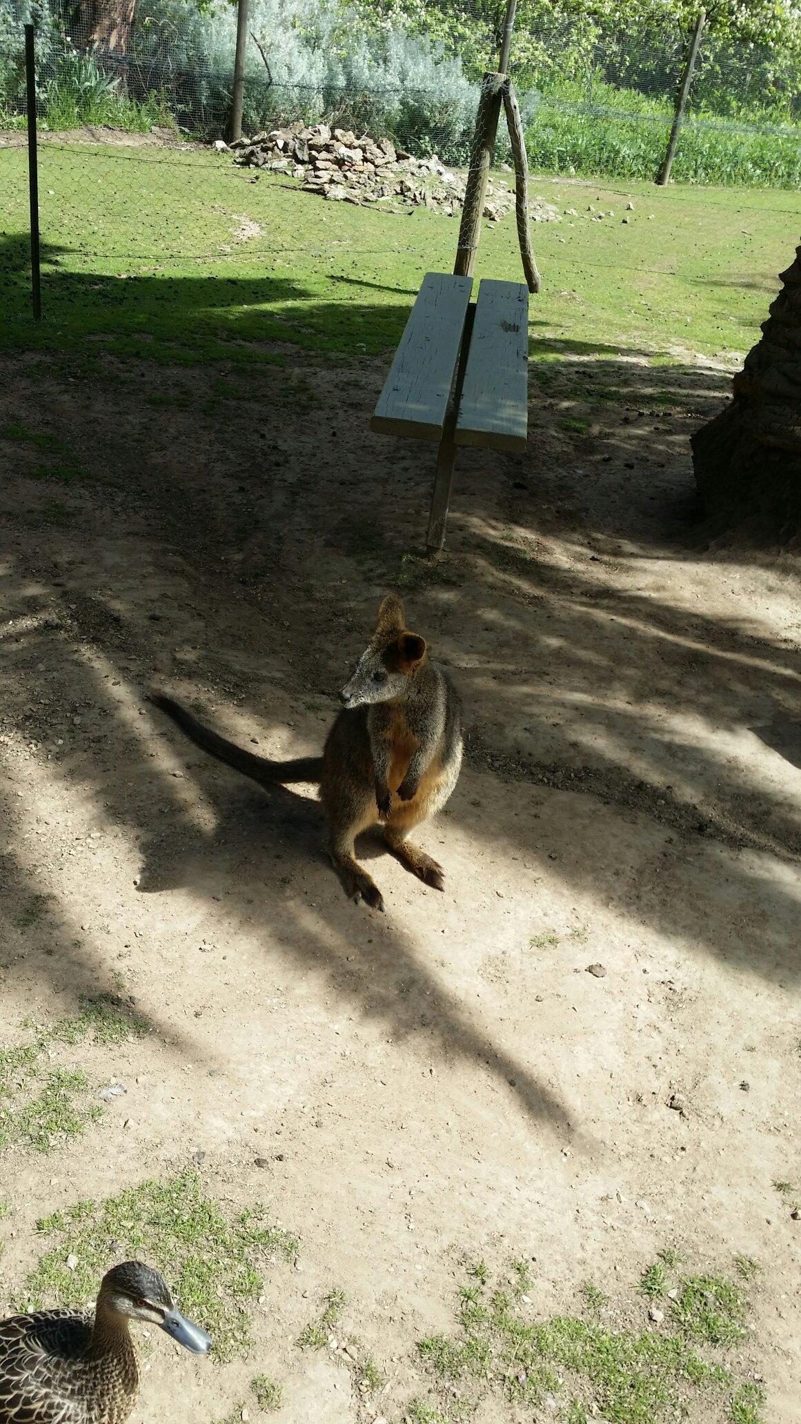 Humbug Scrub Wildlife Sanctuary