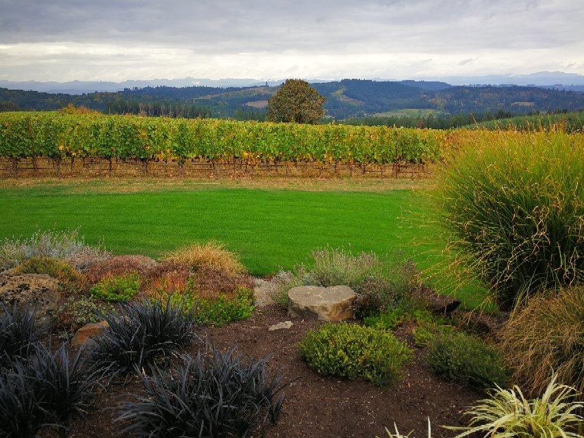 Photo by Stephanie_5o3