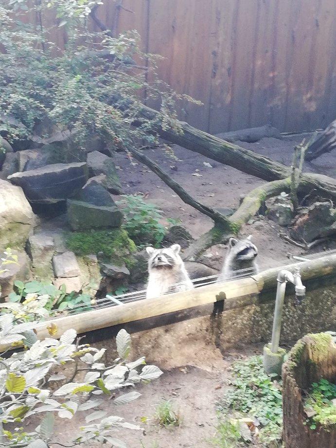 Tierpark Kunsterspring