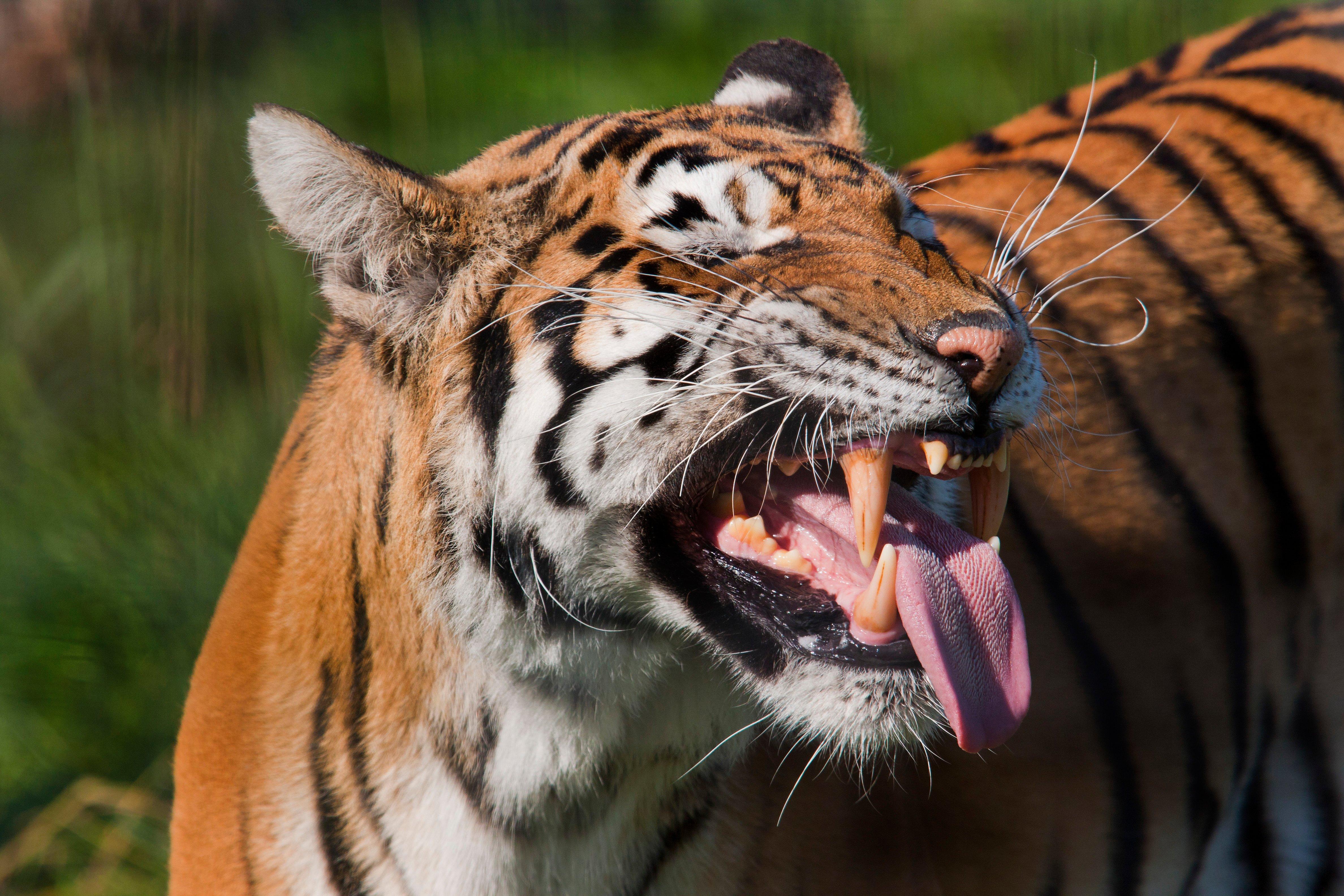 Woodside Wildlife Park