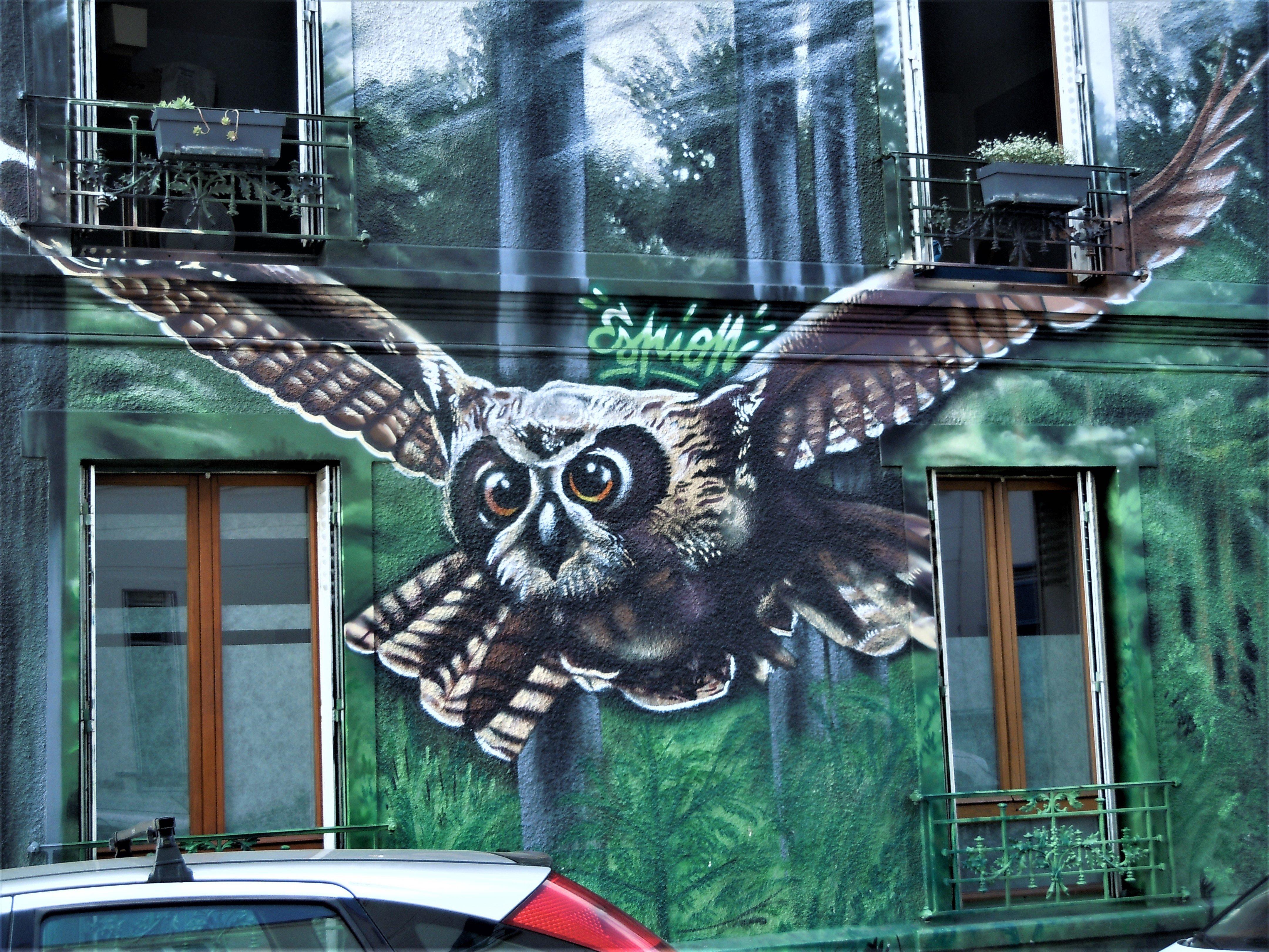 Fresque Chouette House