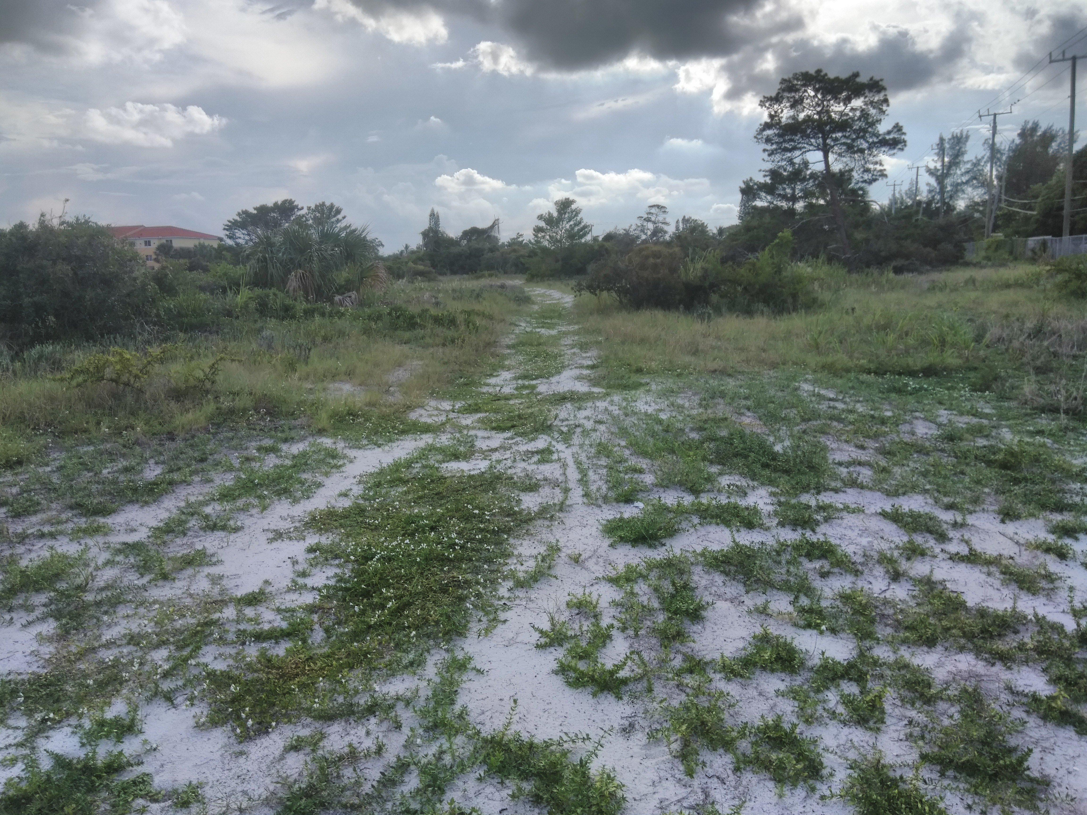 Deerfield Highlands Nature Preserve