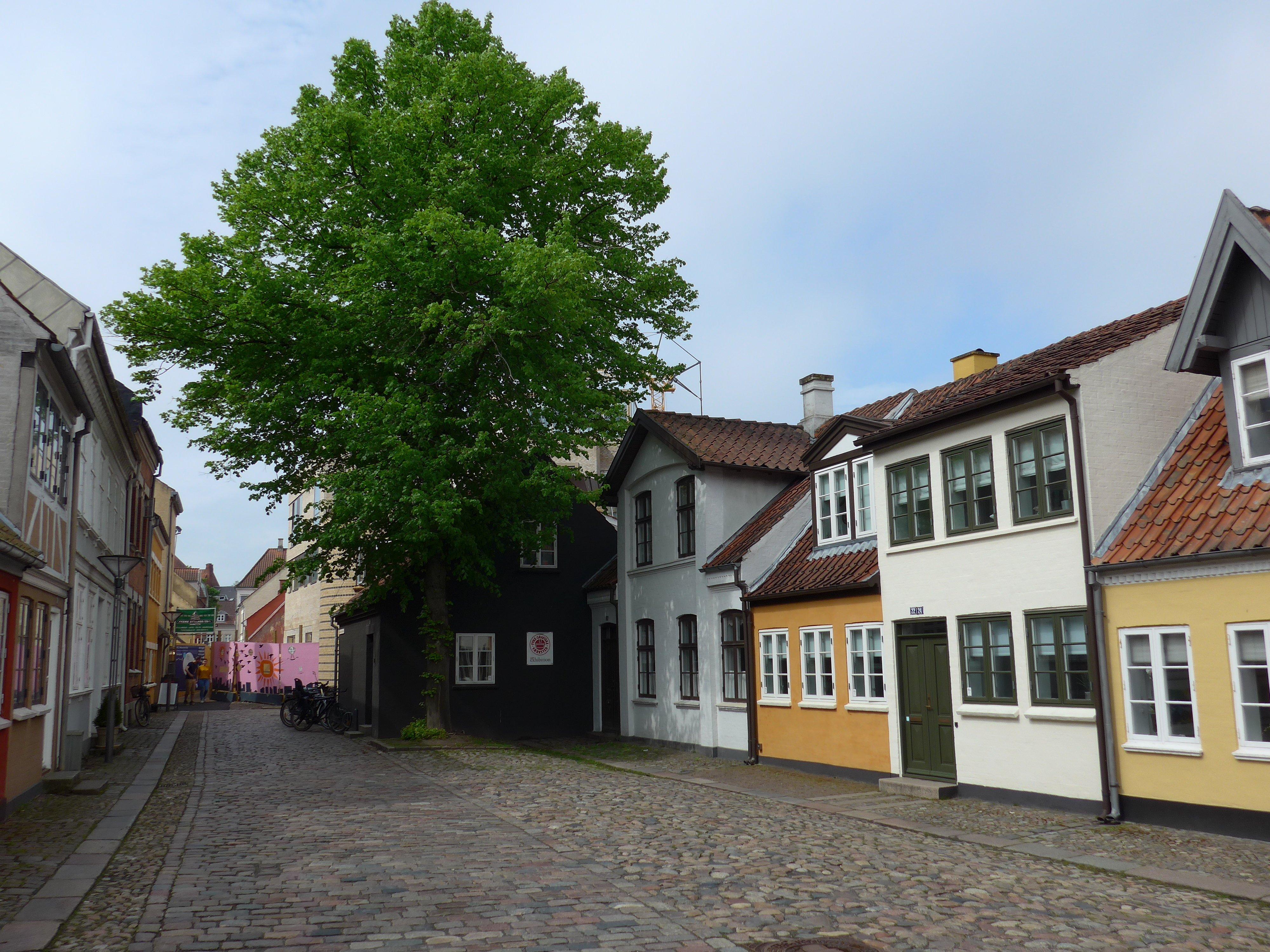 Fyn's Graphic Workshop