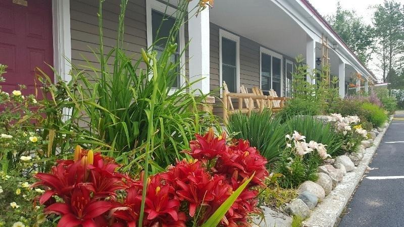 Photo by LukeandBruce