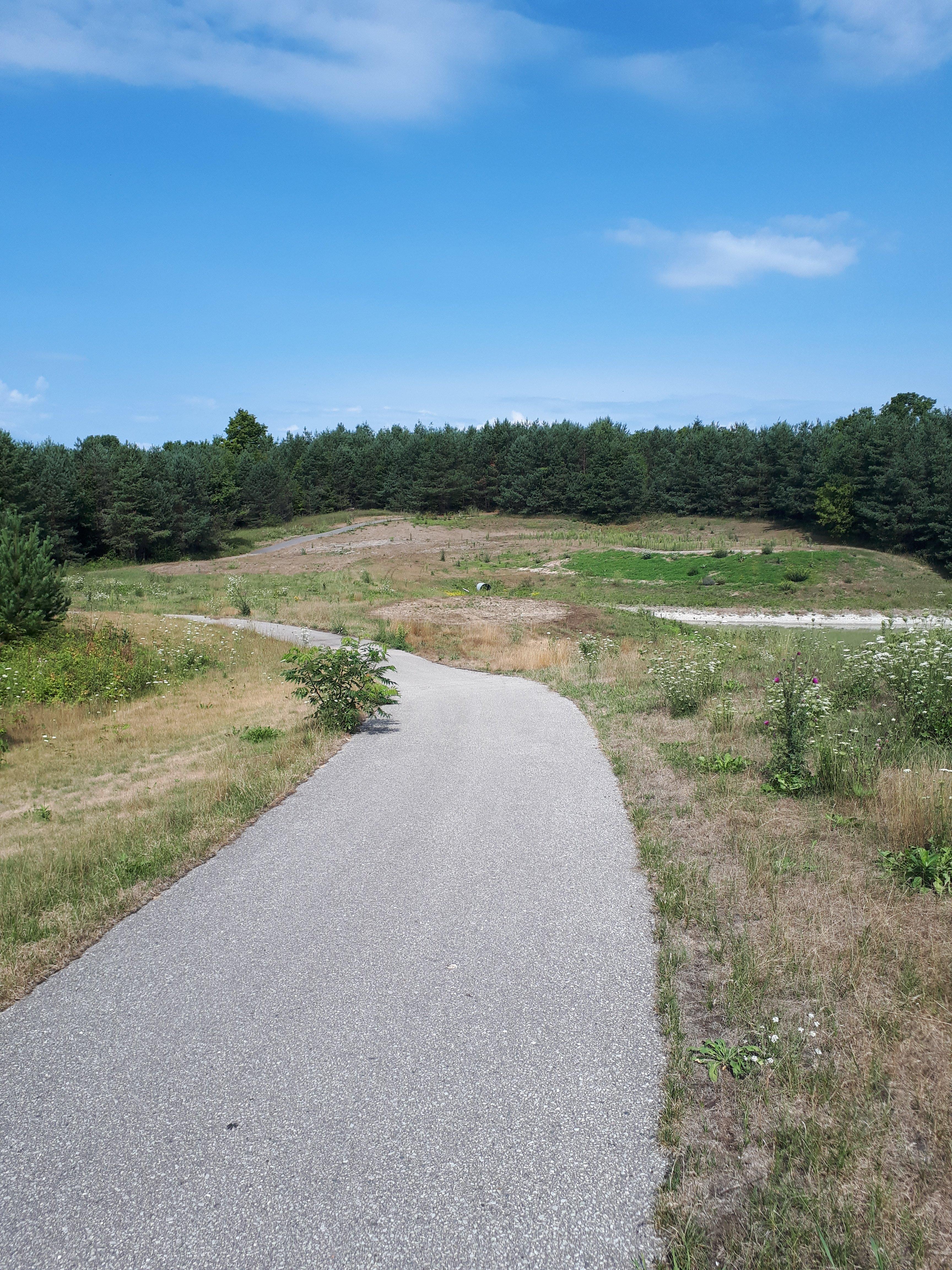 Horseshoe Valley Resort